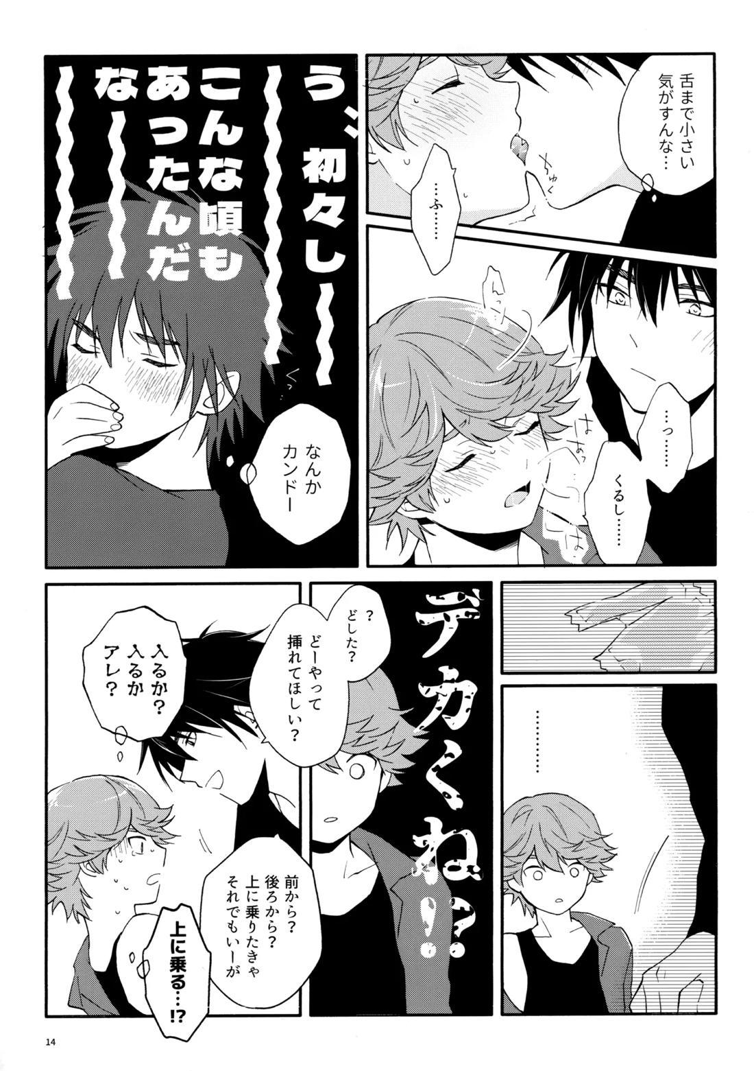 マイディアスワップ 13ページ