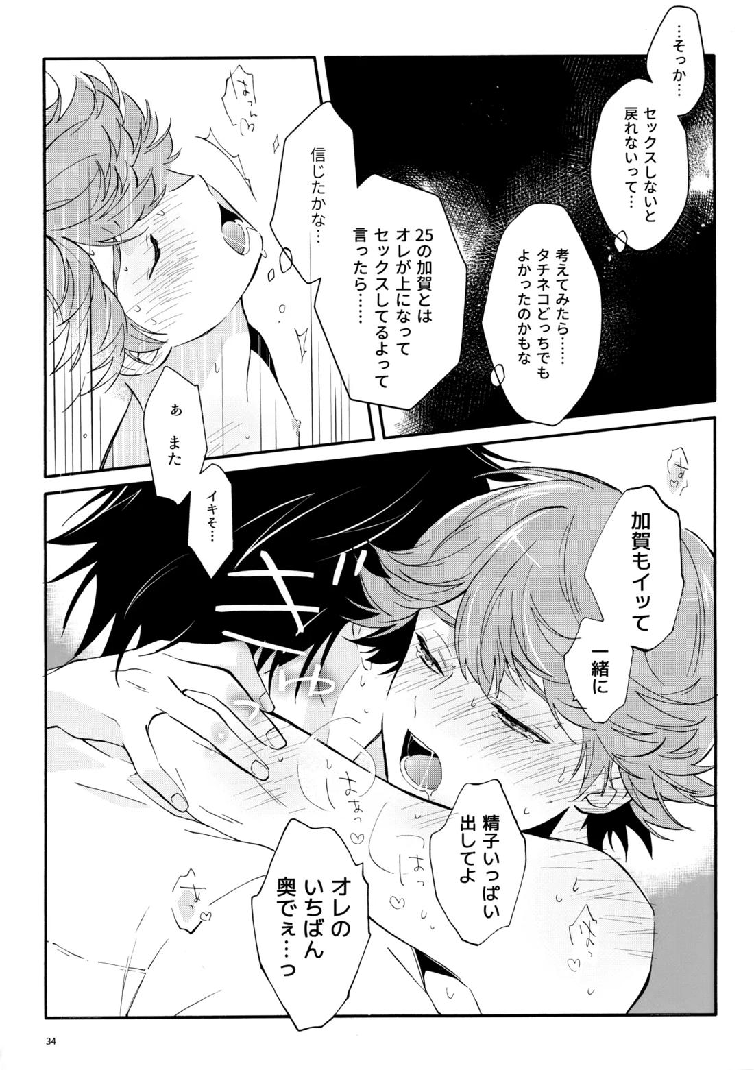 マイディアスワップ 33ページ