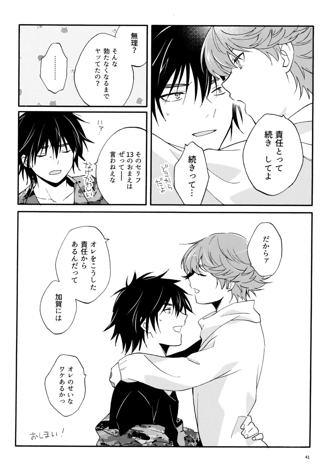 マイディアスワップ 40ページ