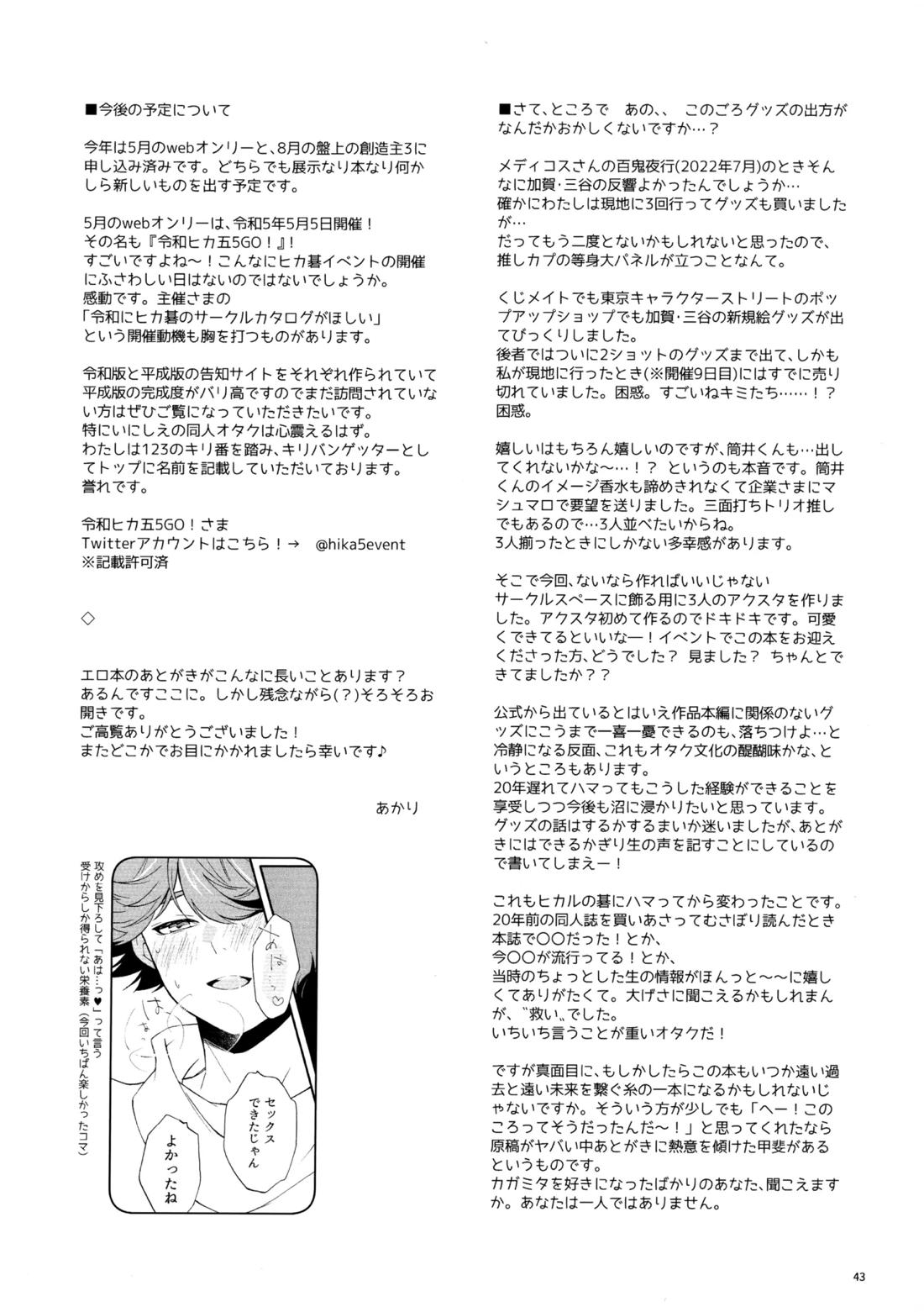 マイディアスワップ 42ページ