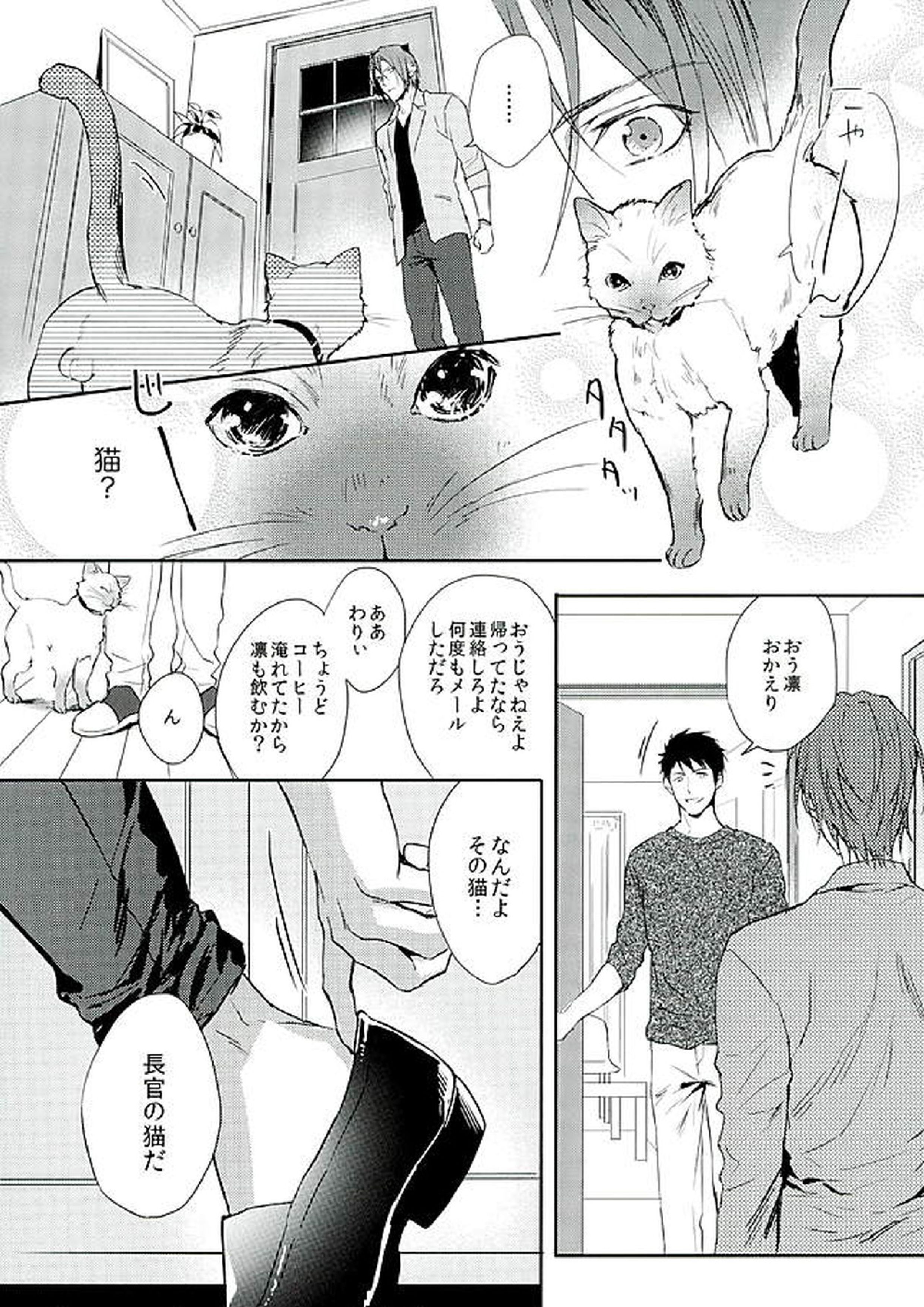 我が家のにゃんこ様 7ページ