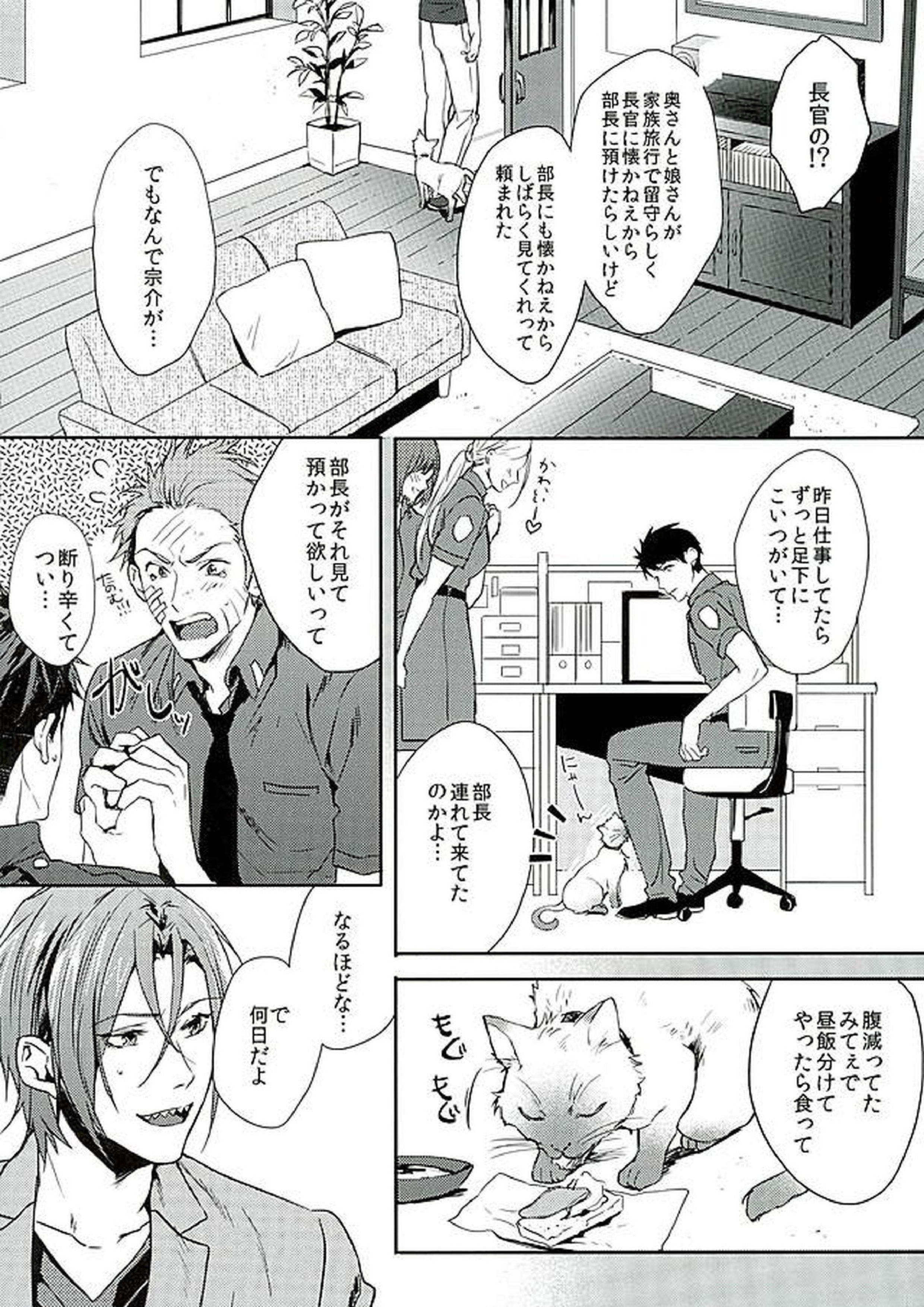 我が家のにゃんこ様 8ページ