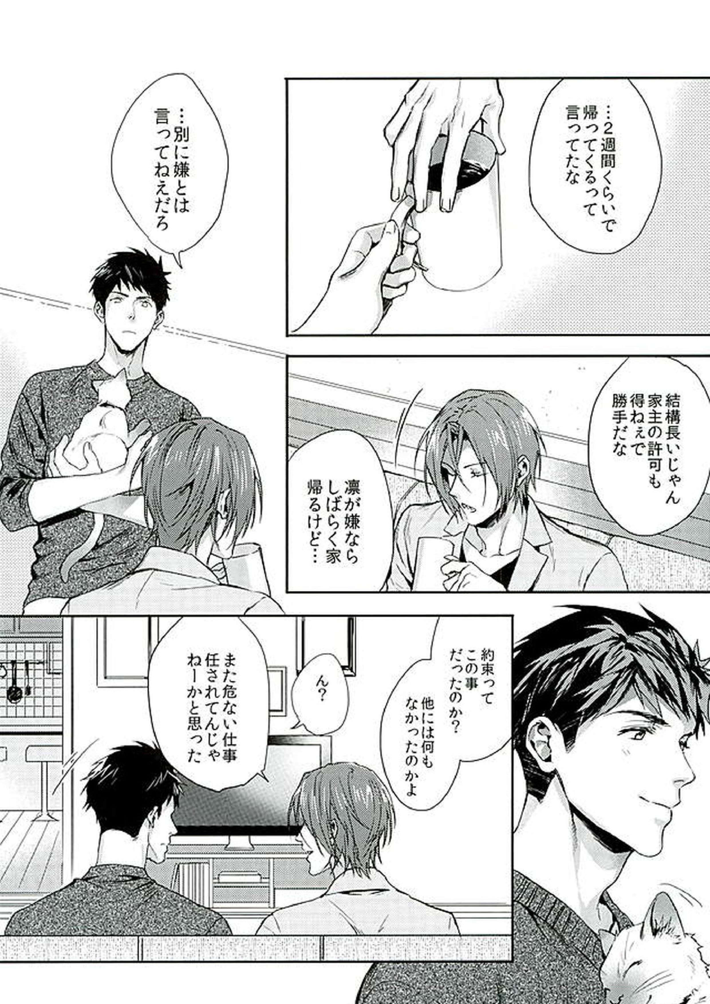 我が家のにゃんこ様 9ページ