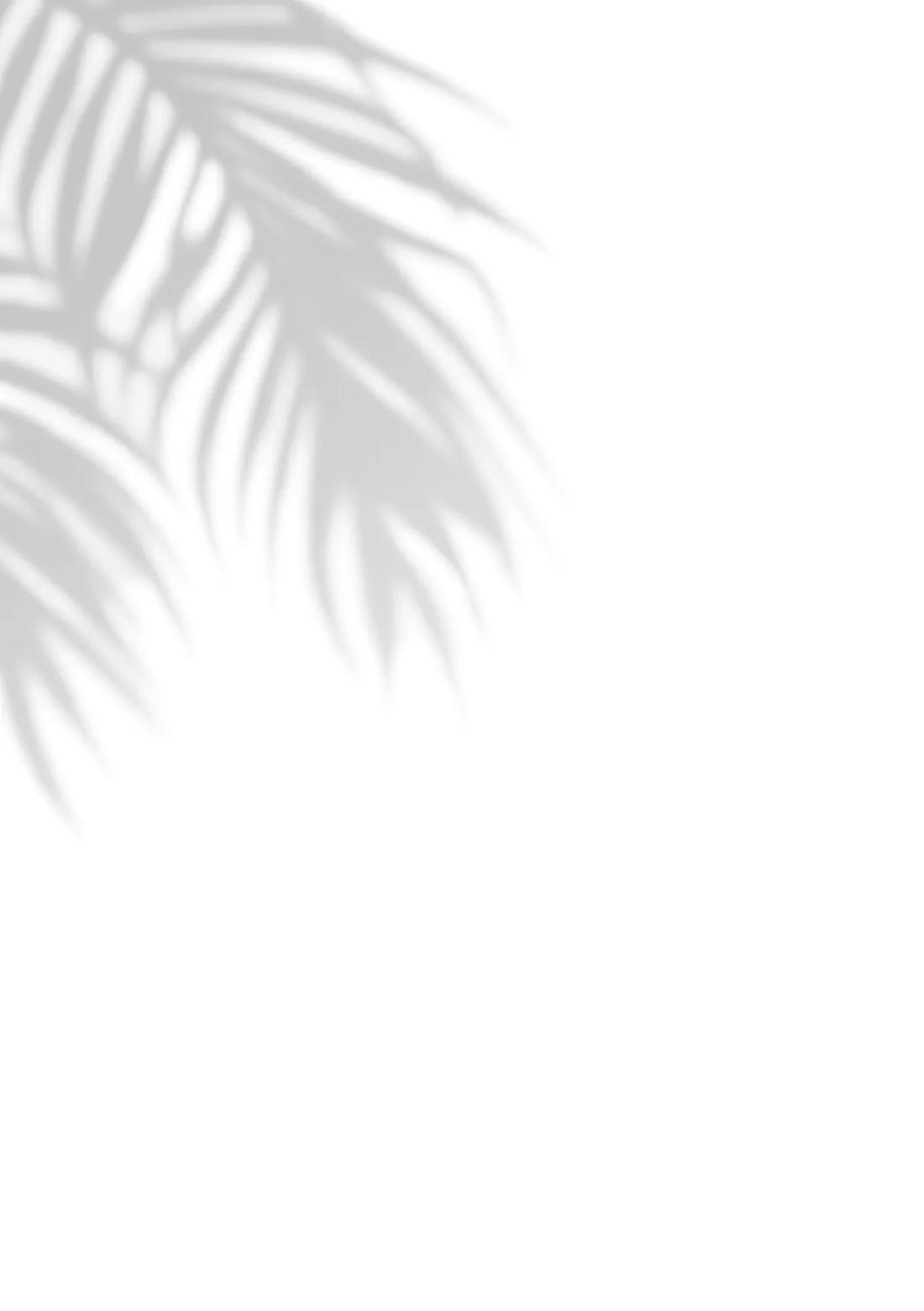 プライベート・アプローチ 47ページ