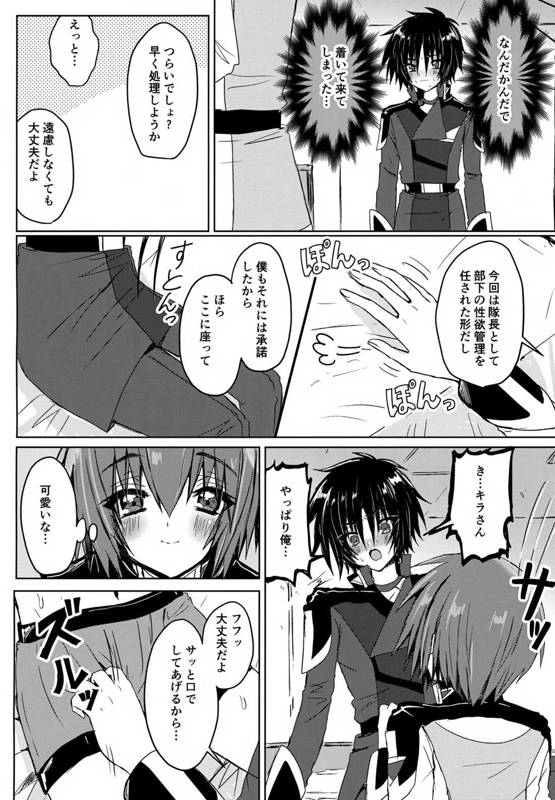 コンパスクリーン月間 11ページ