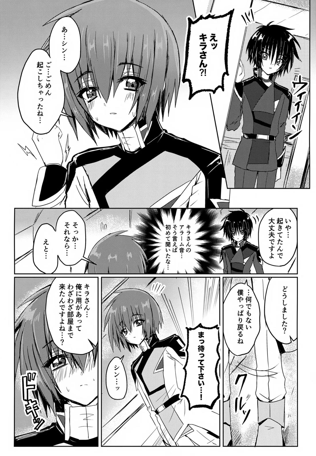 コンパスクリーン月間 17ページ