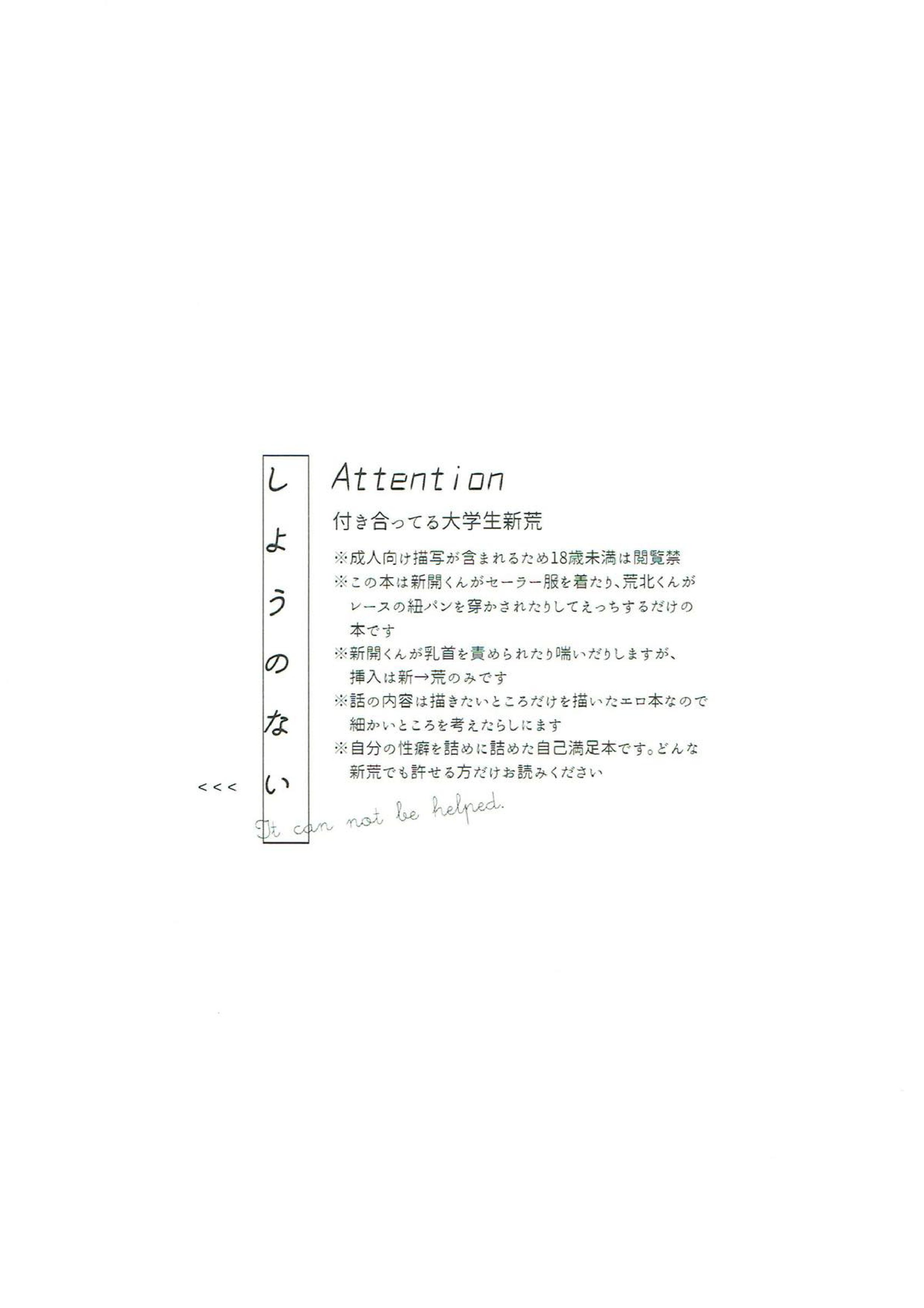 しようのない 2ページ
