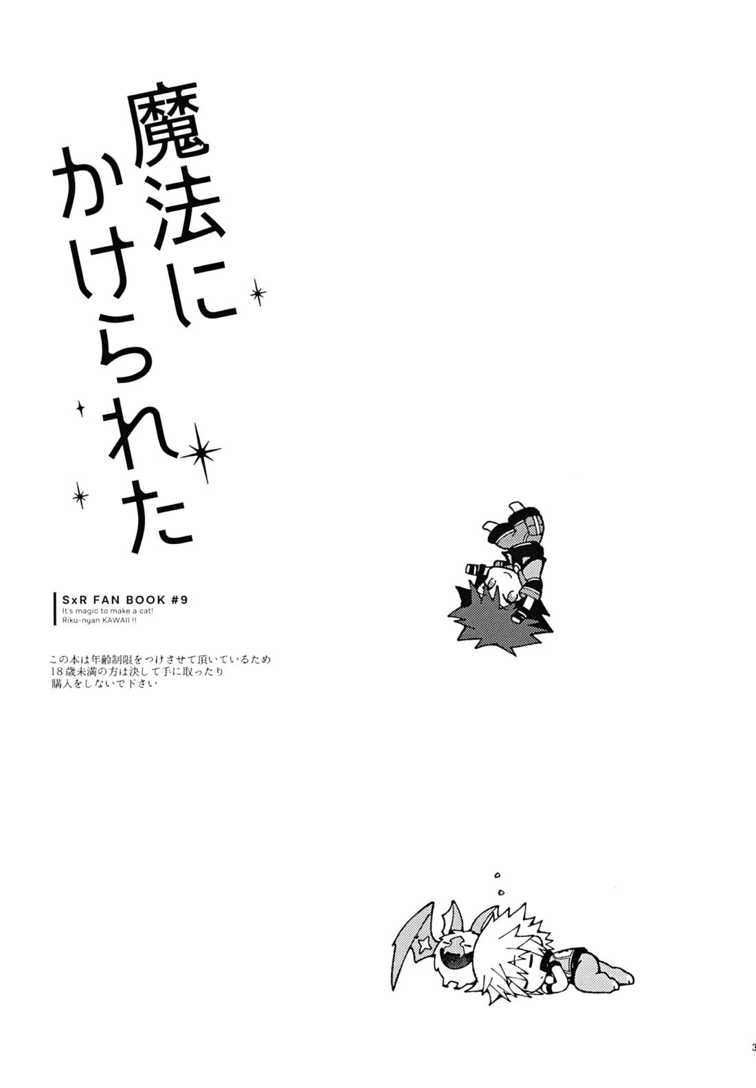 魔法にかけられた 2ページ
