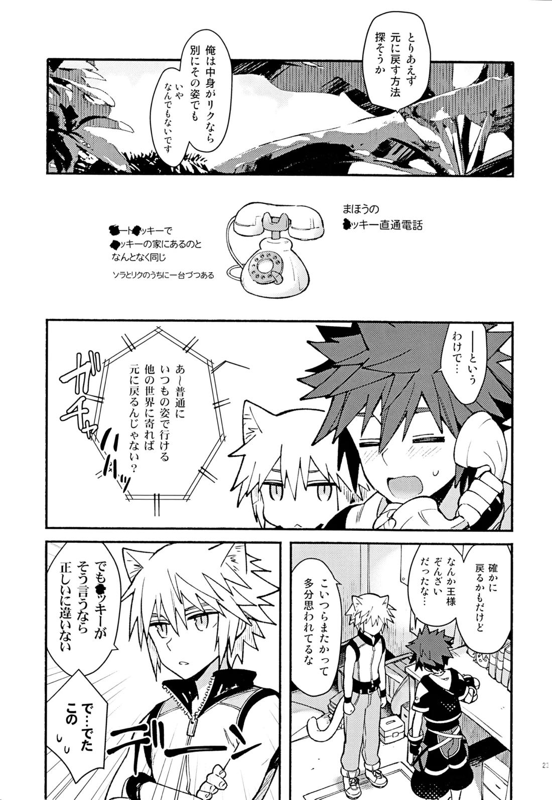 魔法にかけられた 22ページ