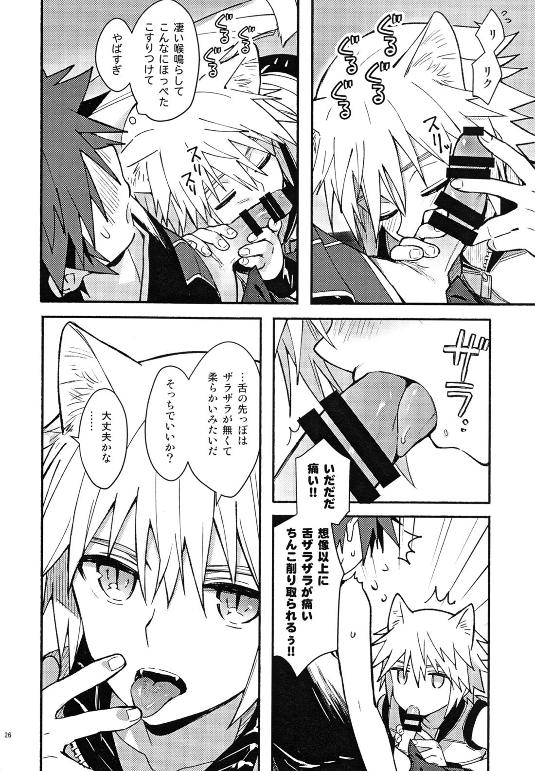 魔法にかけられた 25ページ