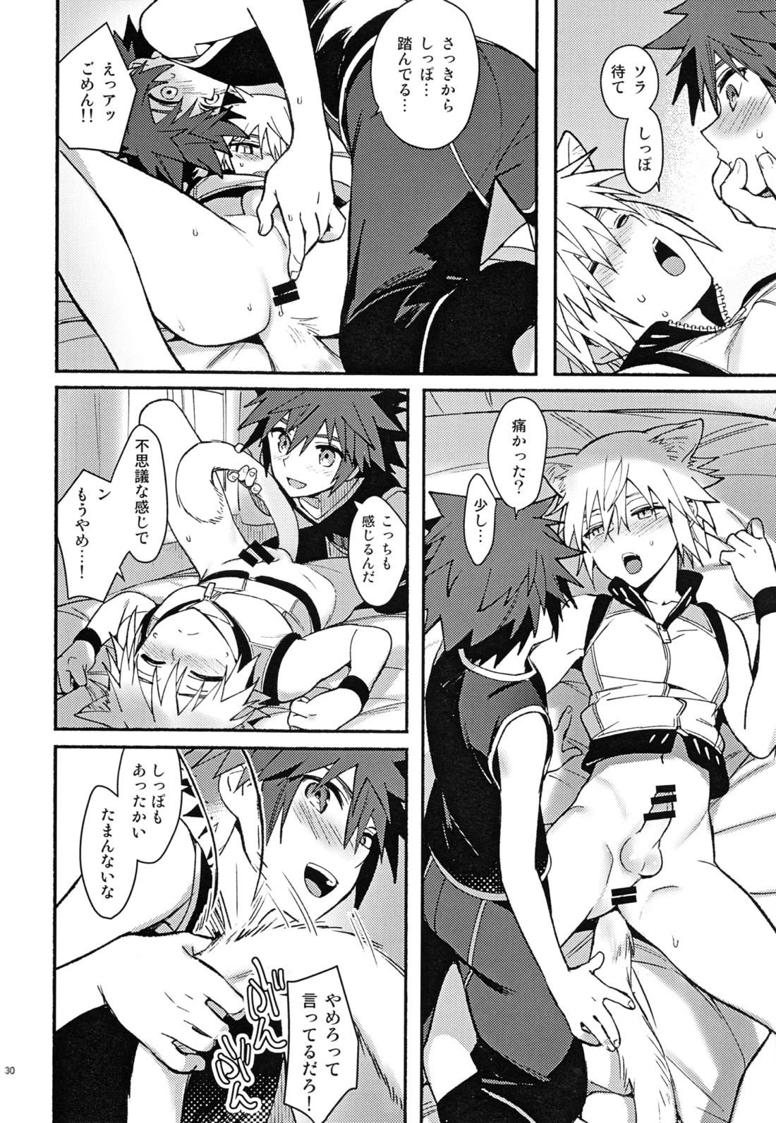 魔法にかけられた 29ページ