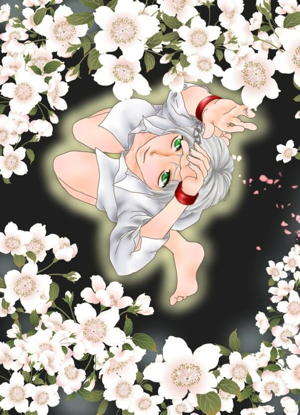 花籠目