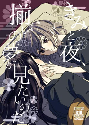 きみと夜、揃いの夢が見たいのだ