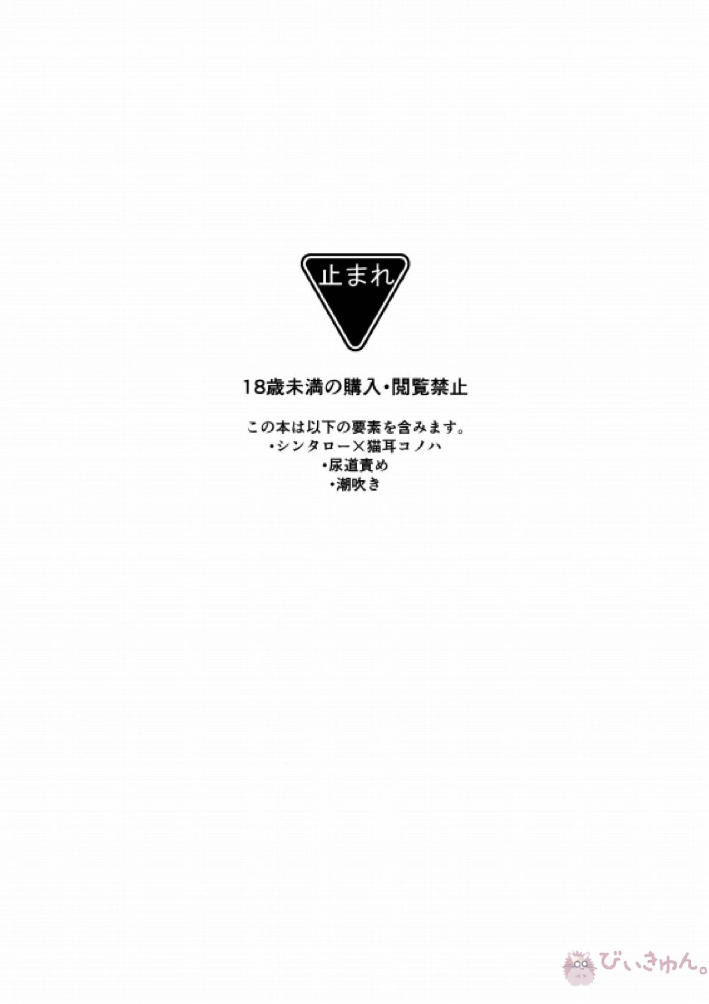 ねこコノハのじじょう 2ページ