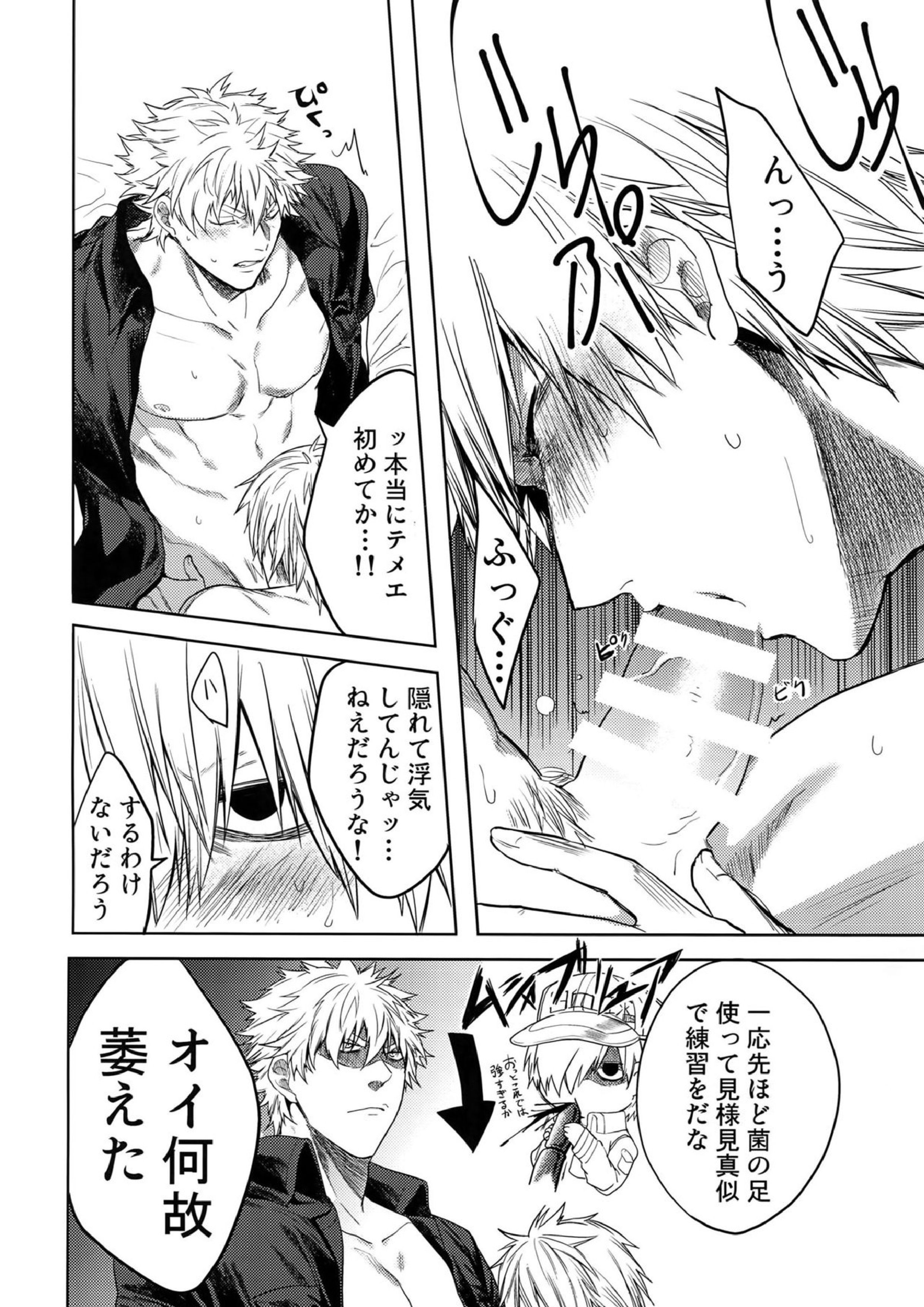 ルーカサイトの不安材料 19ページ