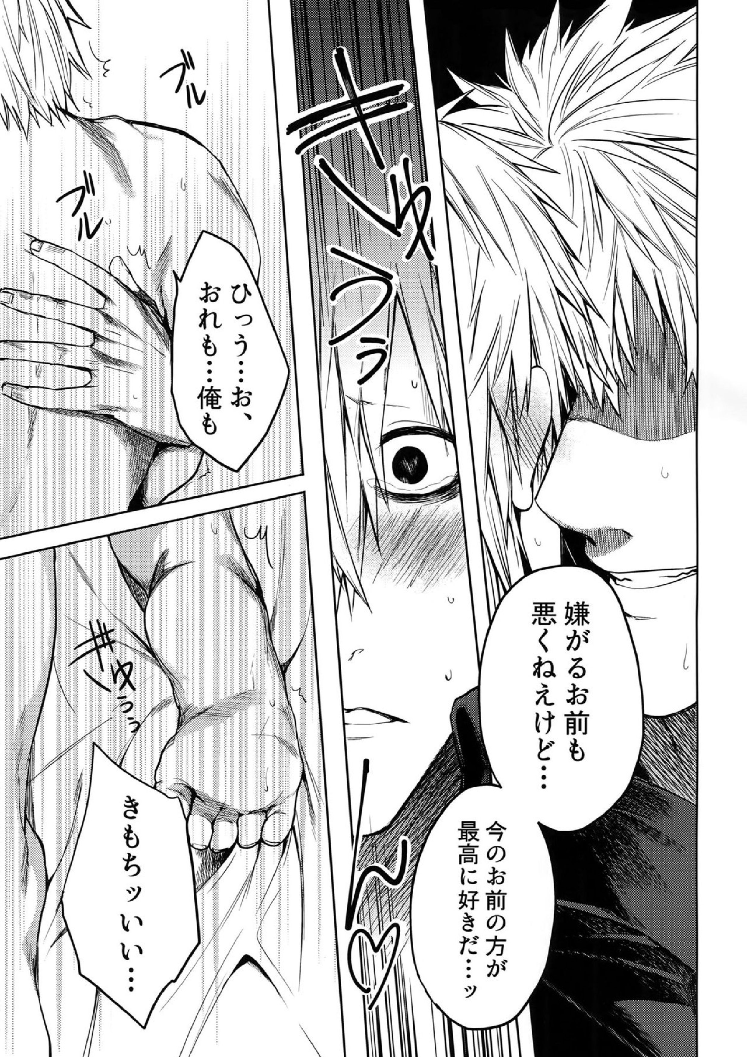 ルーカサイトの不安材料 38ページ