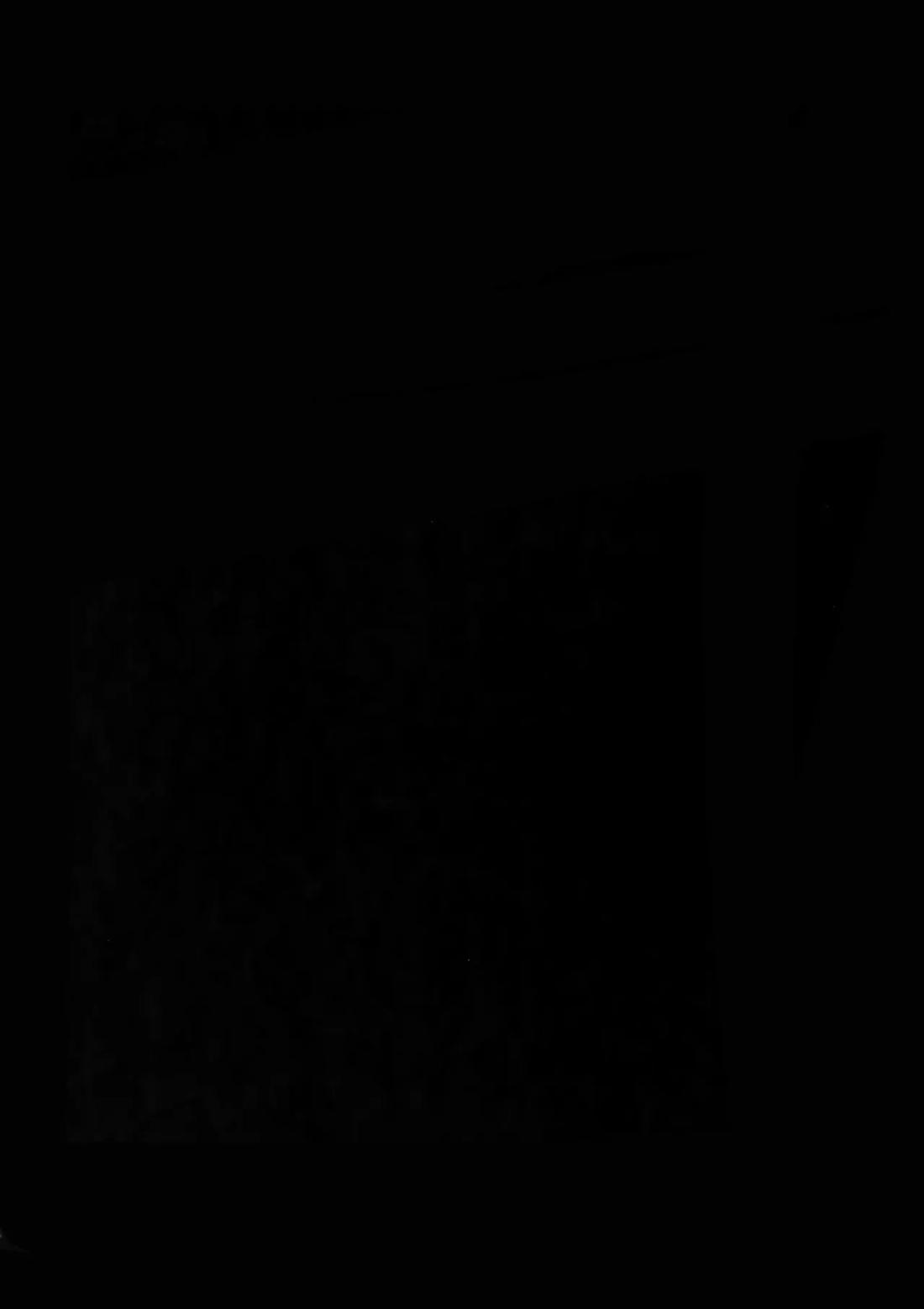 Tweek Sex Craig 3ページ