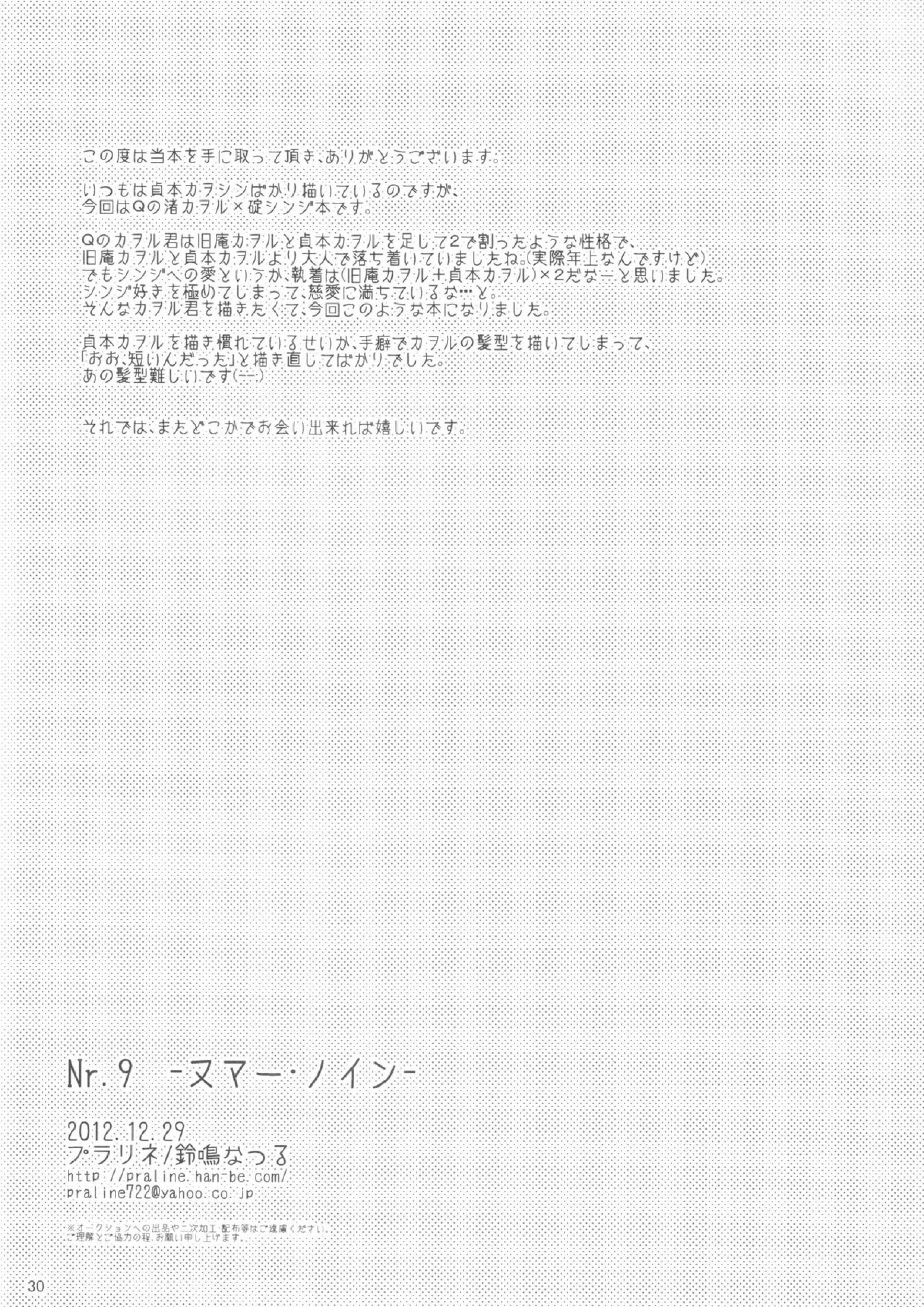 Nr.9 27ページ