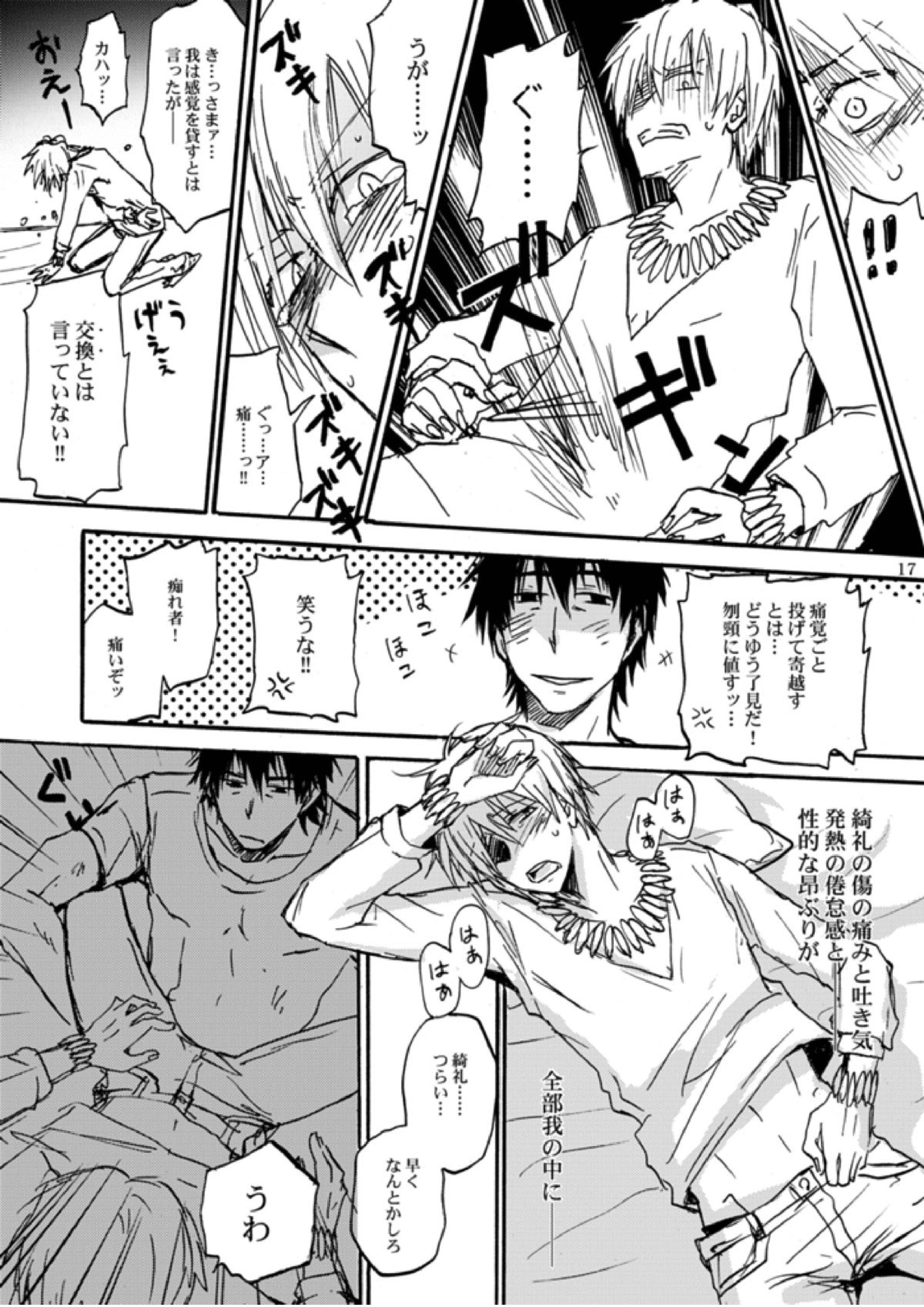 知覚共有アクセスディコントロール 16ページ