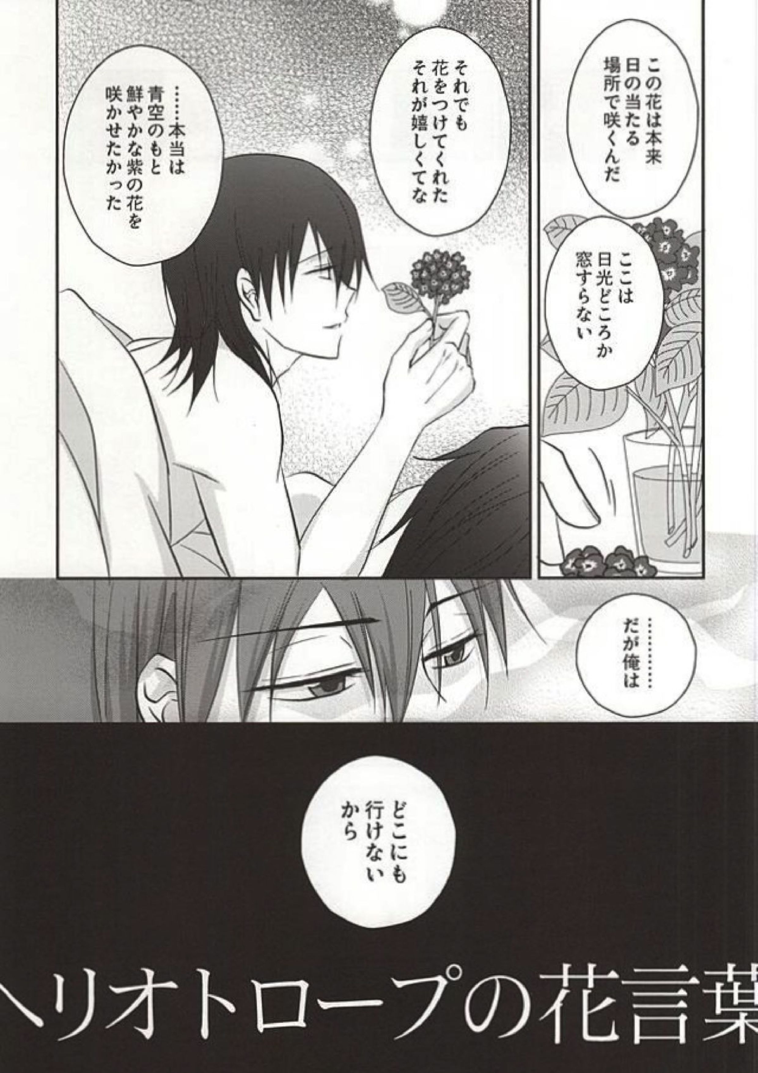 ヘリオトロープの花言葉 4ページ