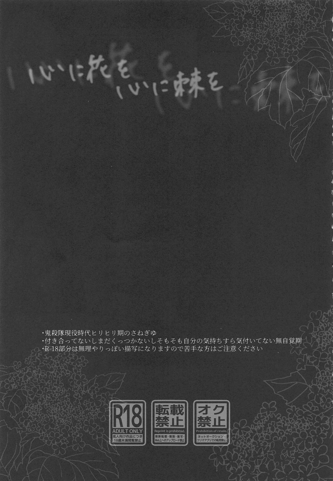 心に花を心に棘を 2ページ
