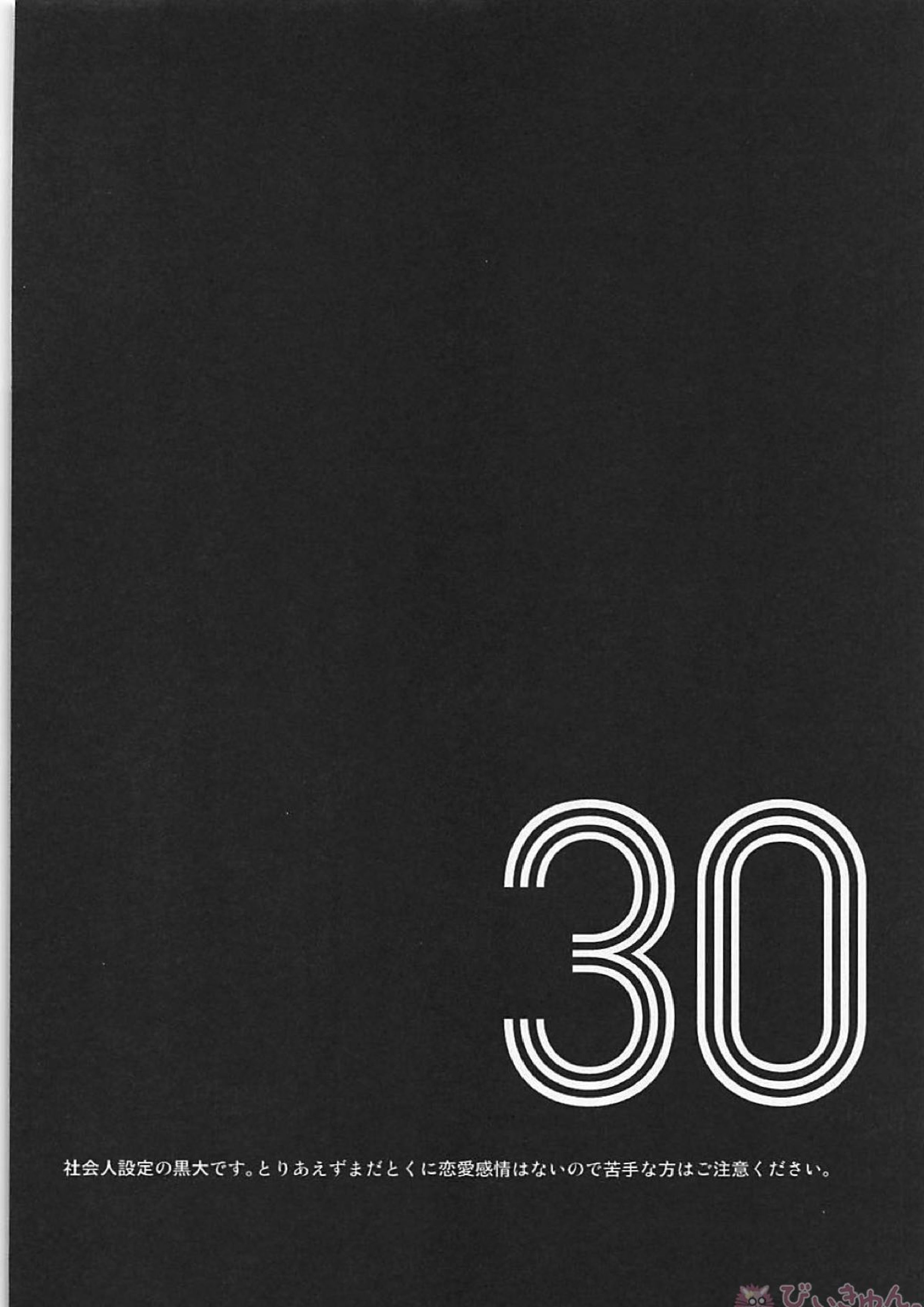 30 3ページ