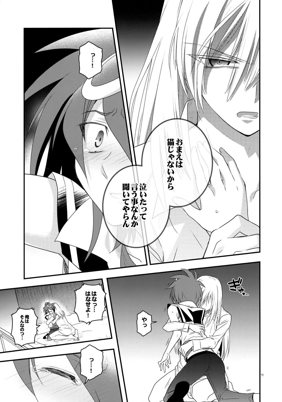 濡れ羽根の天蓋と迷い猫 18ページ