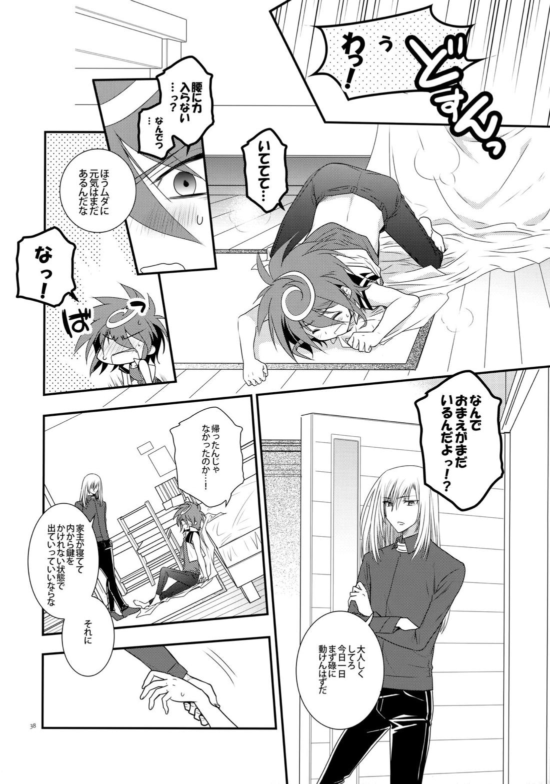 濡れ羽根の天蓋と迷い猫 37ページ