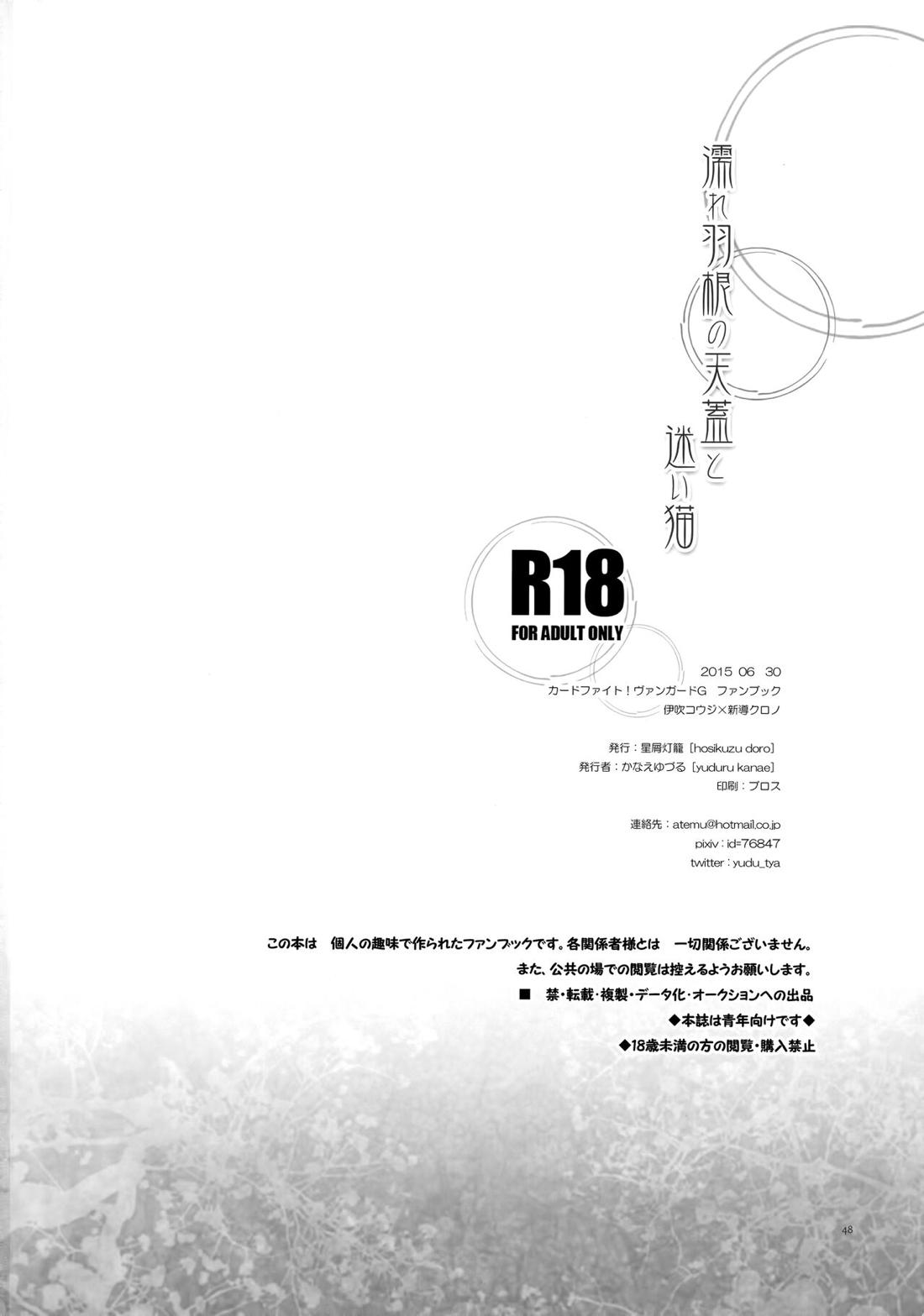 濡れ羽根の天蓋と迷い猫 47ページ