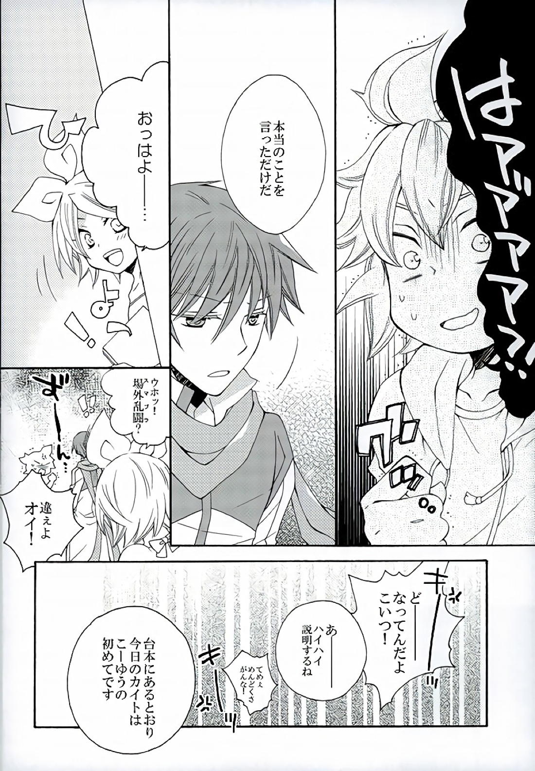 ハツドリドキュメント 13ページ