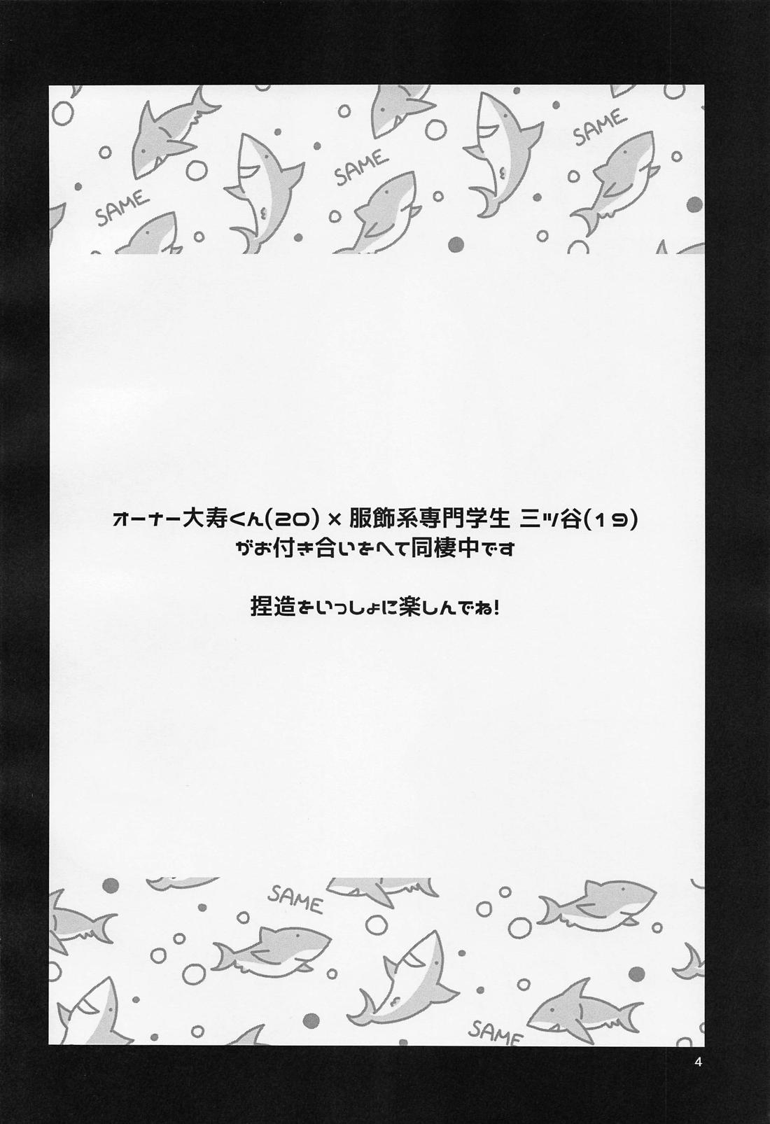 Any way you want it 3ページ