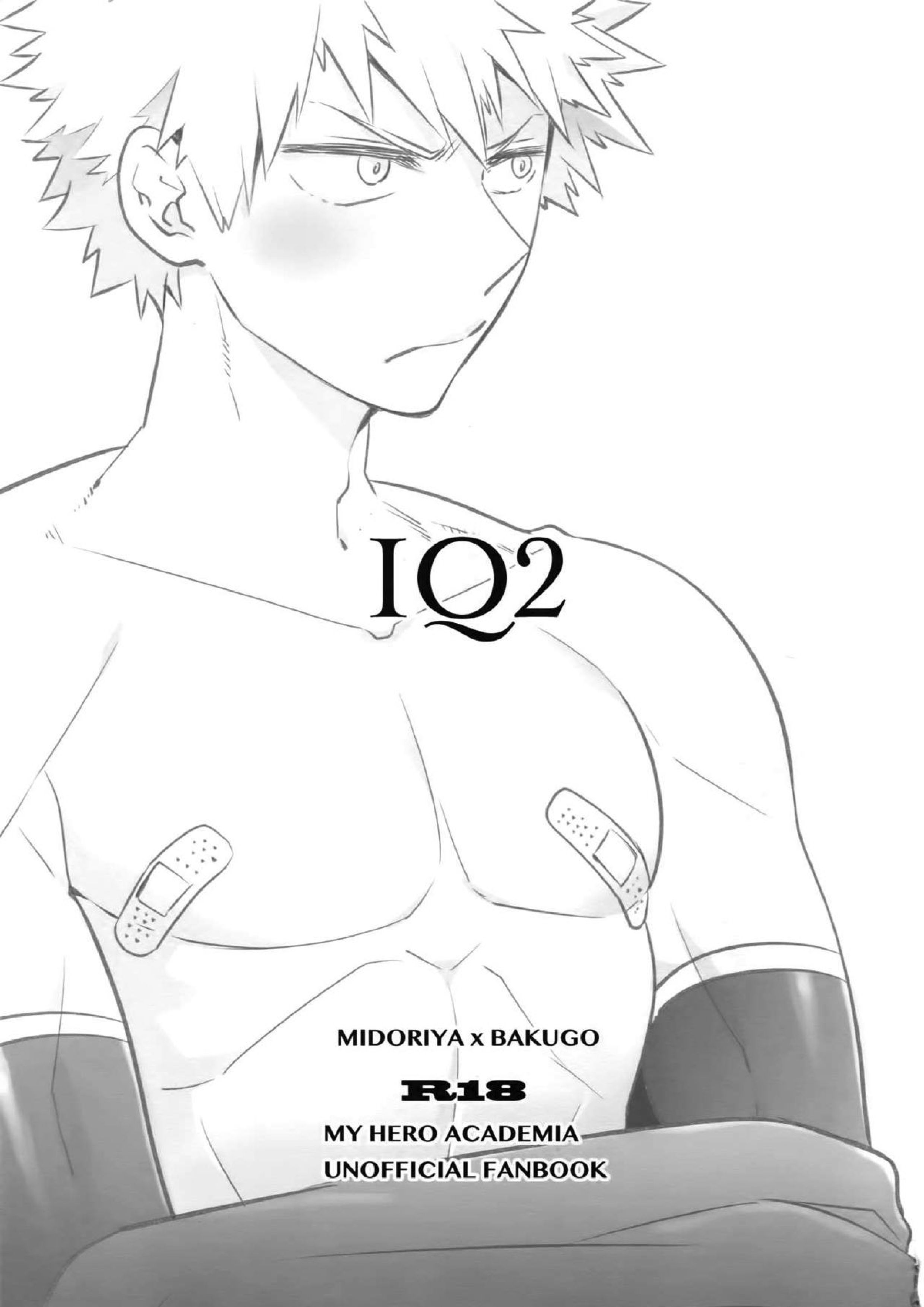 IQ2 2ページ