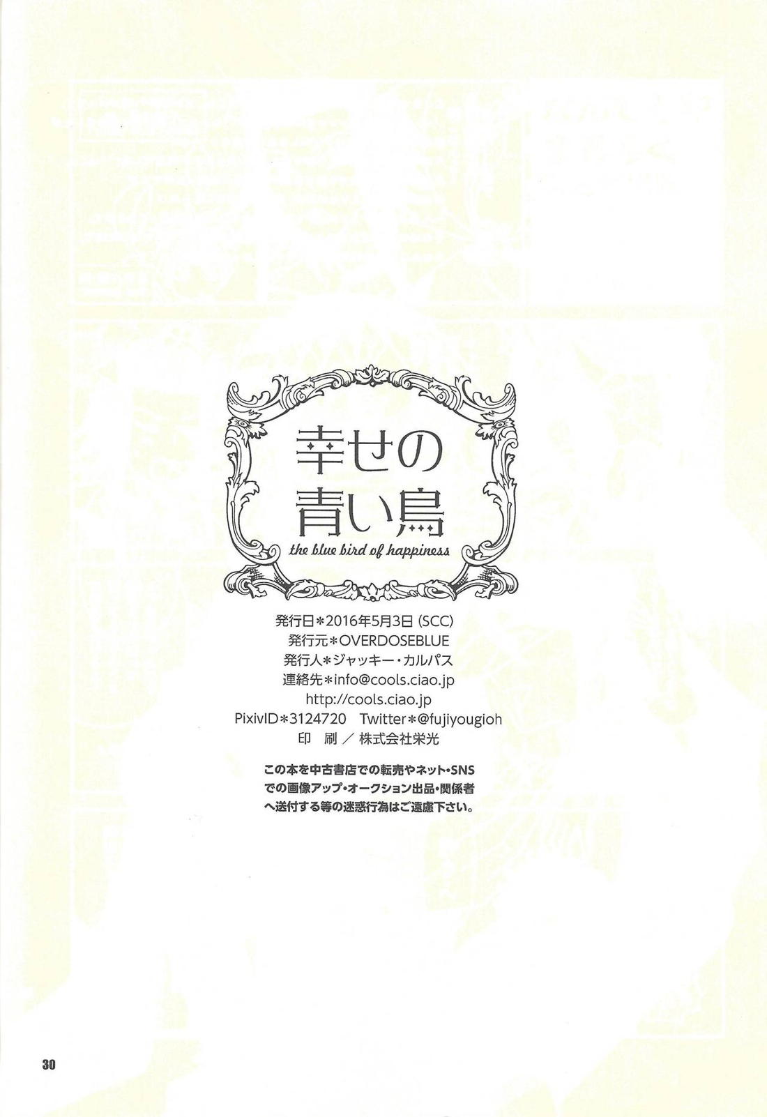 幸せの青い鳥 29ページ