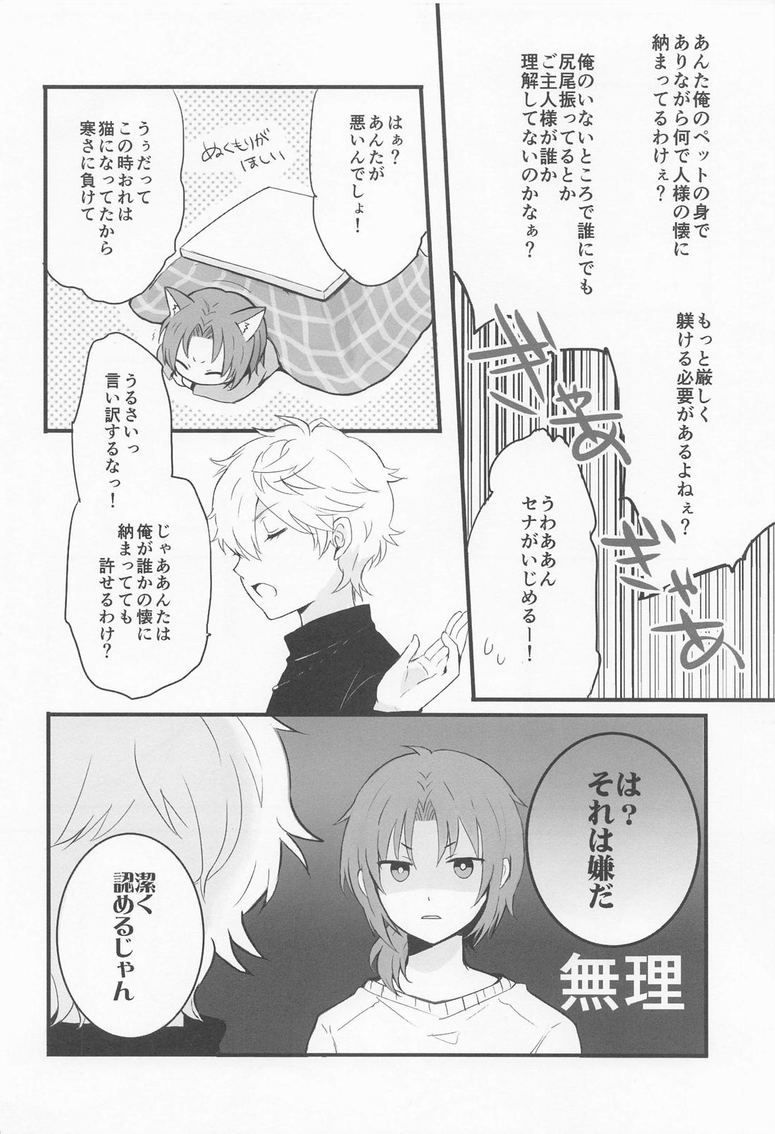 Affinity 13ページ