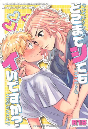 どこまでシてもイいですか?