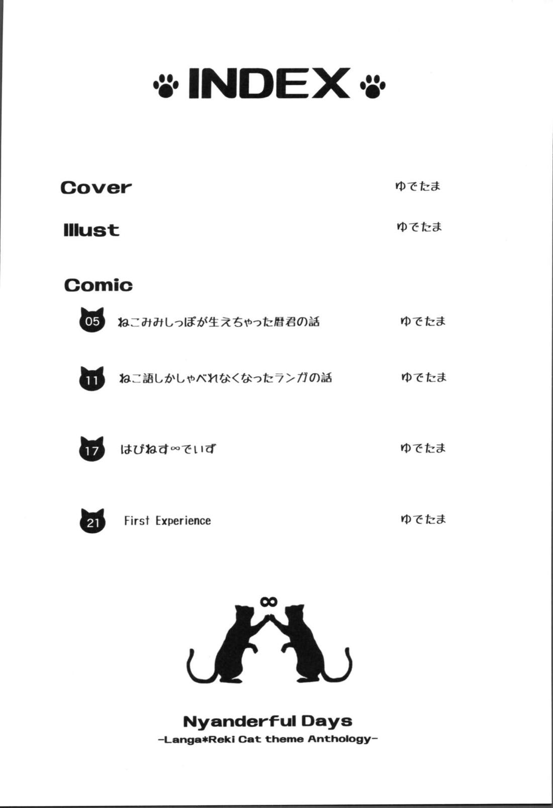 にゃんだふるでいず 3ページ