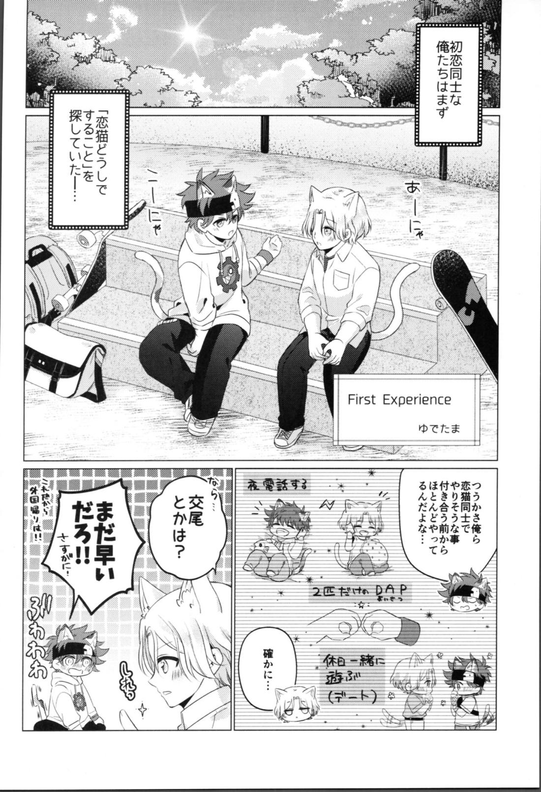 にゃんだふるでいず 20ページ