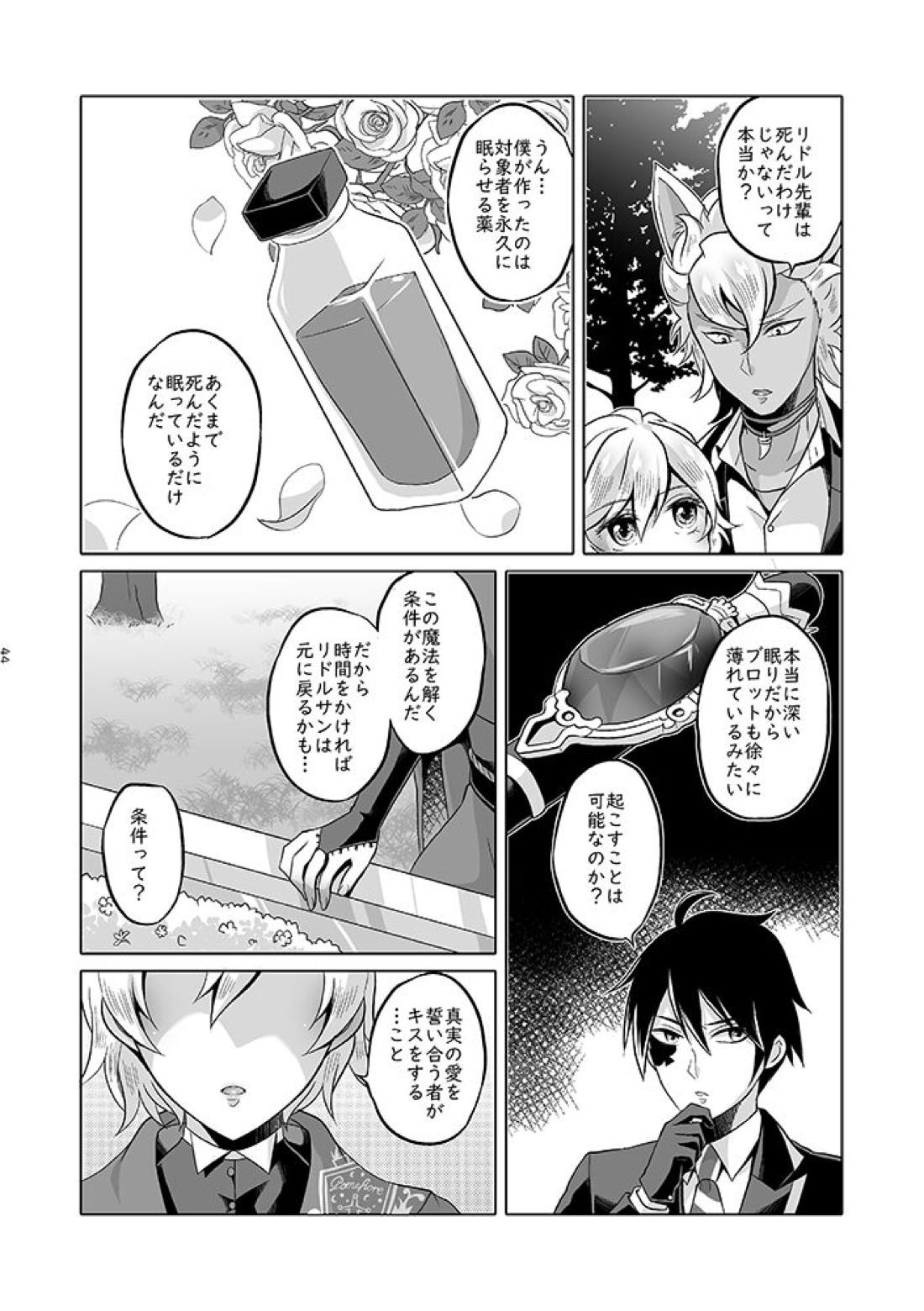 貴方は優雅な薔薇の女王 45ページ
