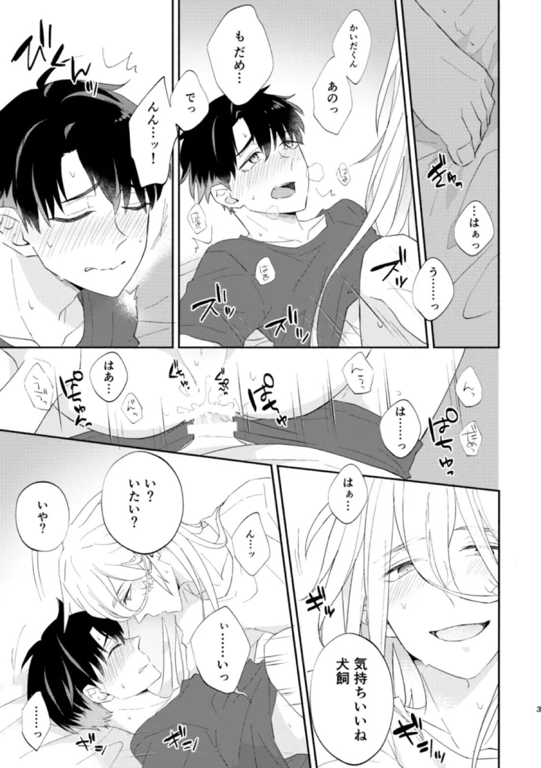 リムライト 2ページ