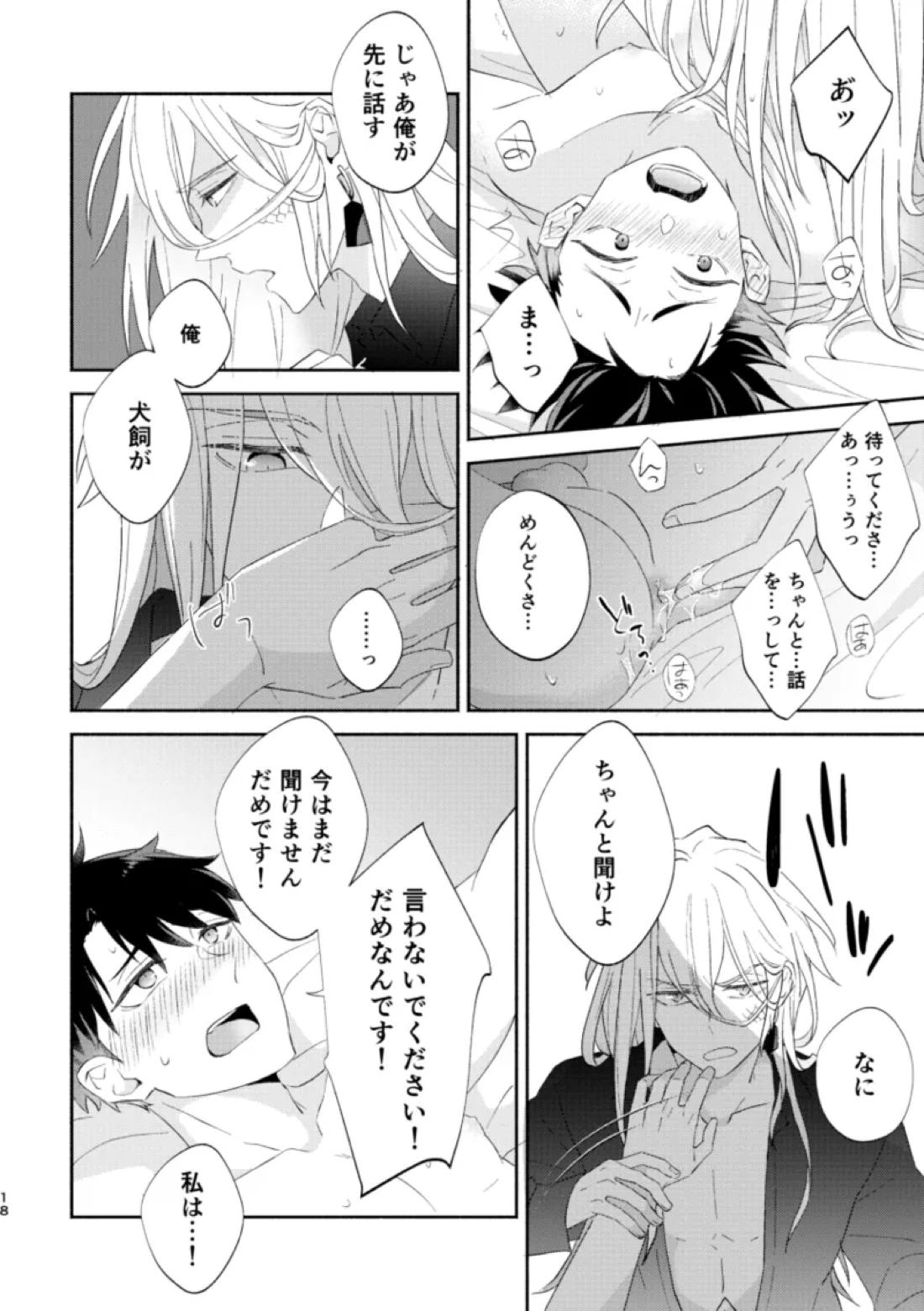 リムライト 17ページ