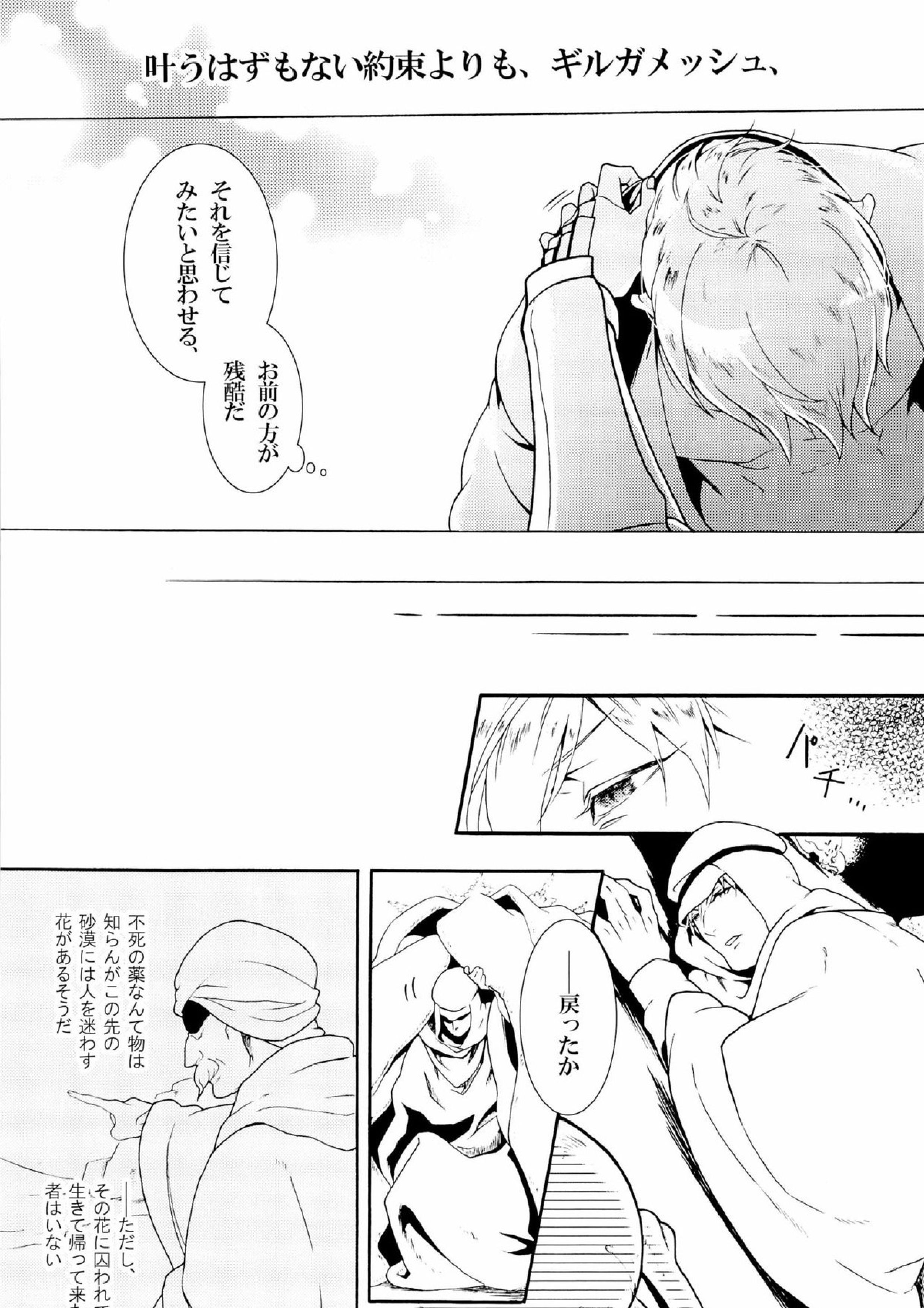 Enigma 13ページ