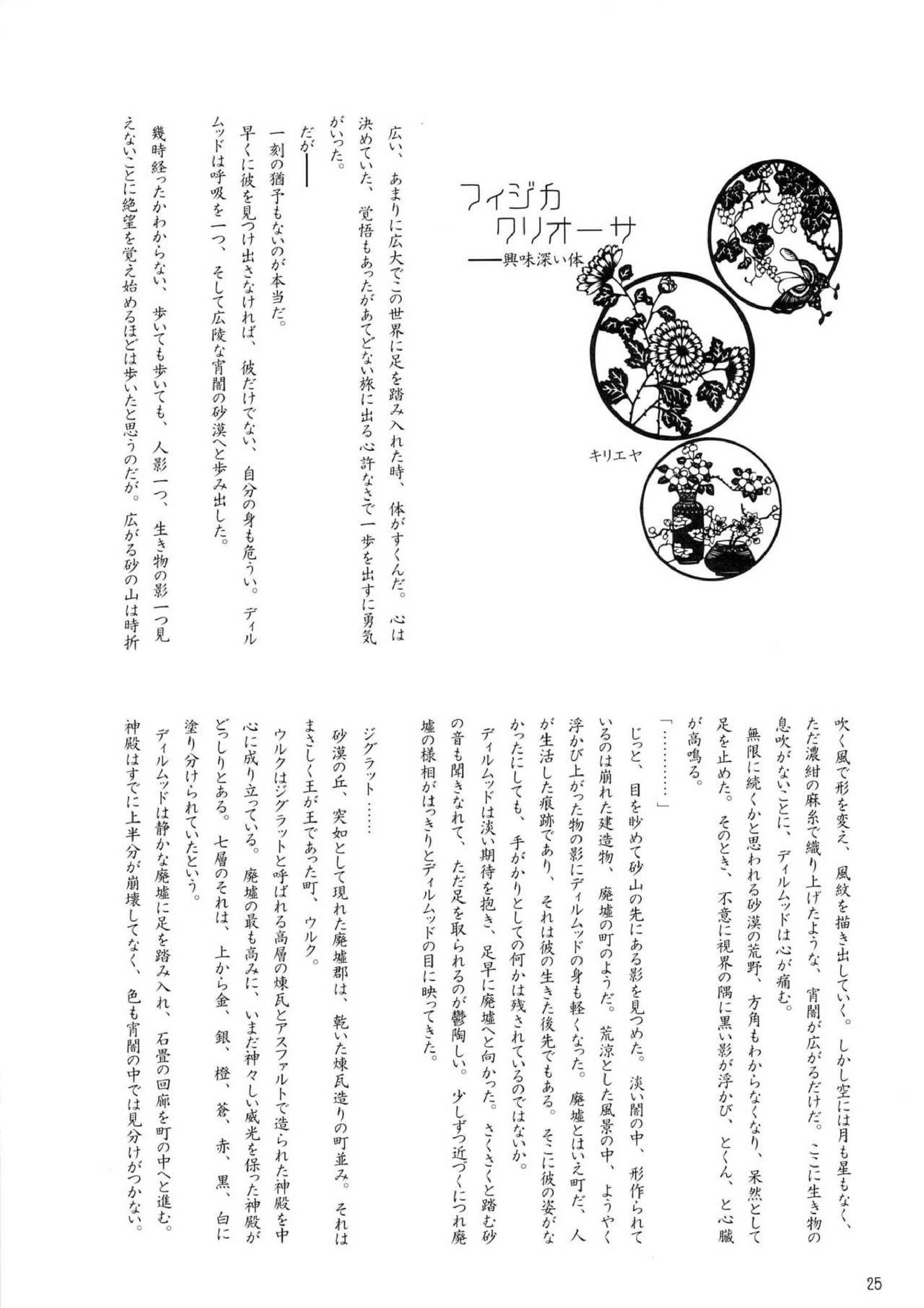 Enigma 25ページ