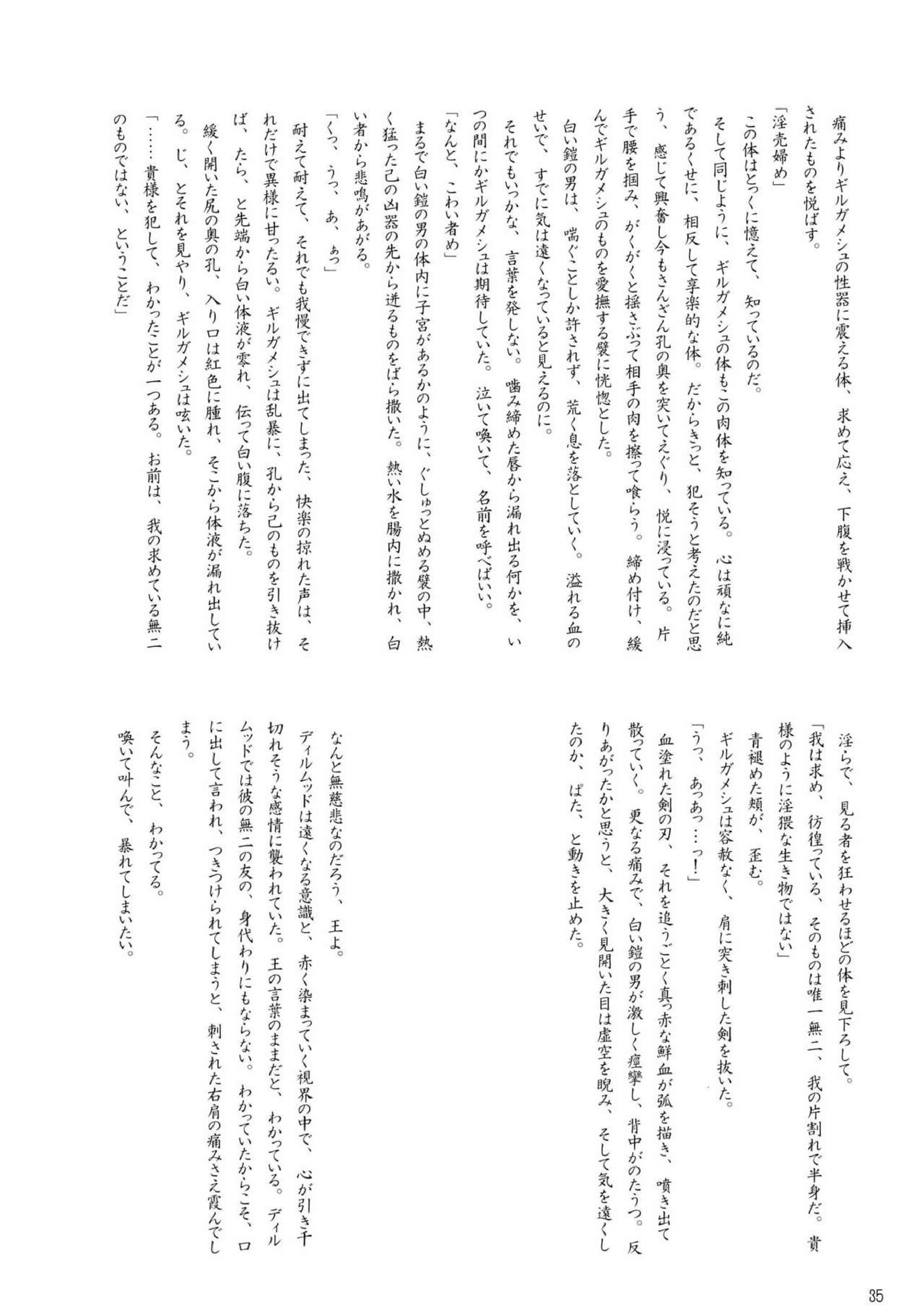 Enigma 35ページ