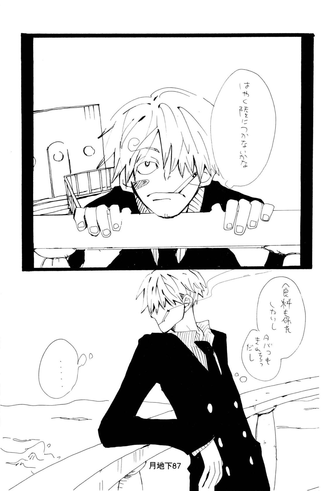 バラの花 14ページ