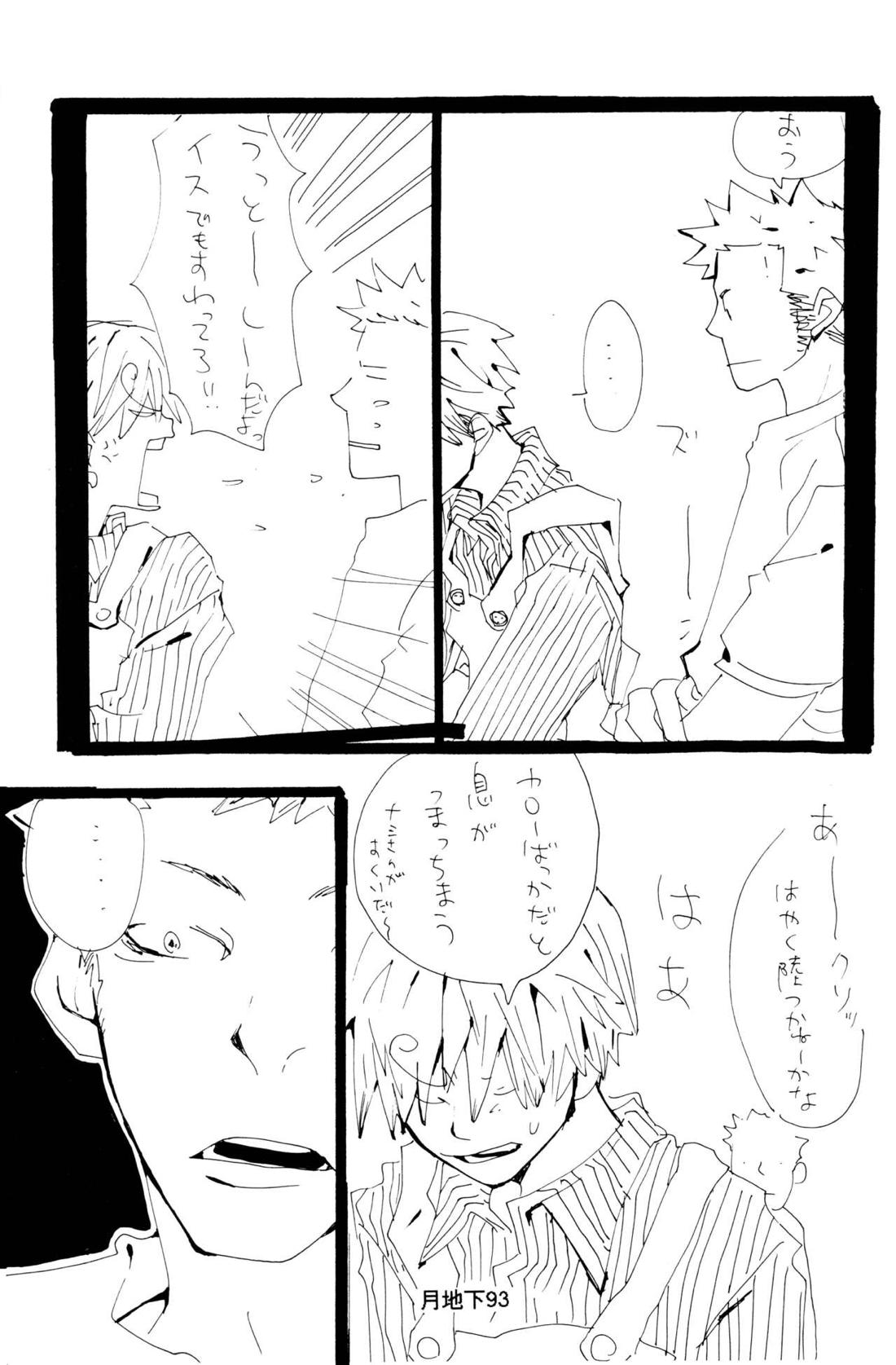 バラの花 20ページ