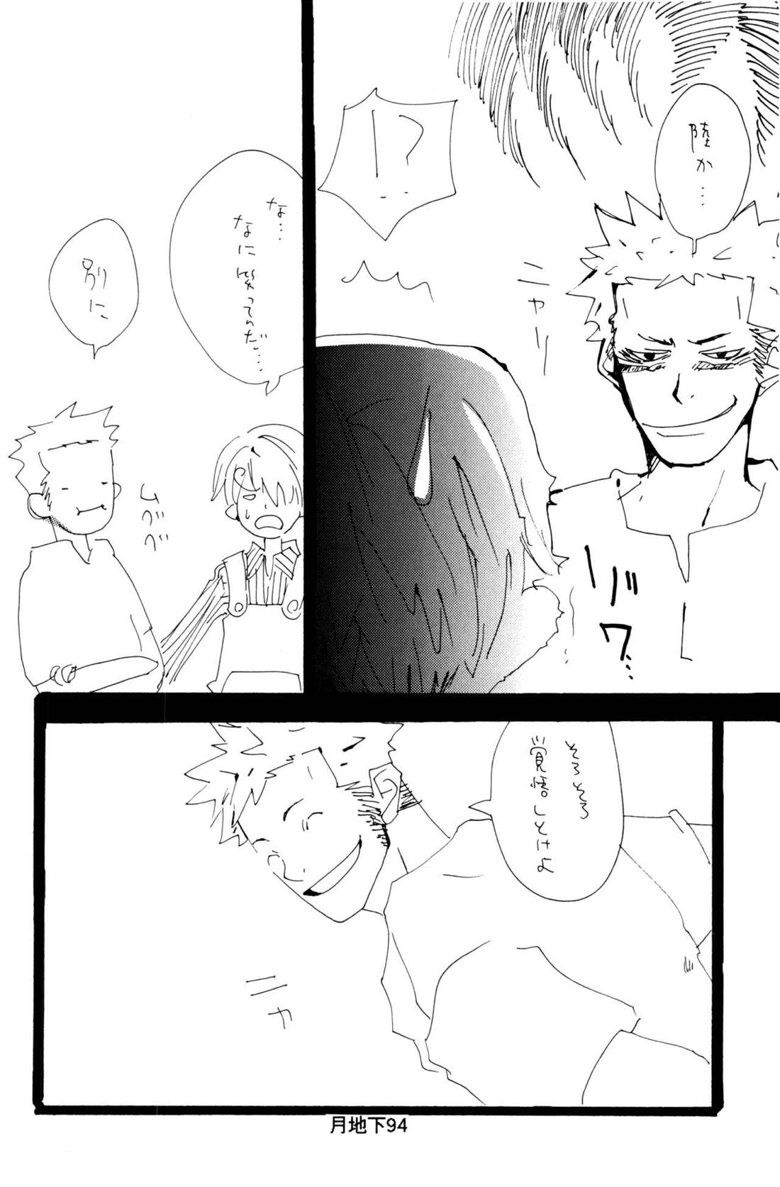 バラの花 21ページ