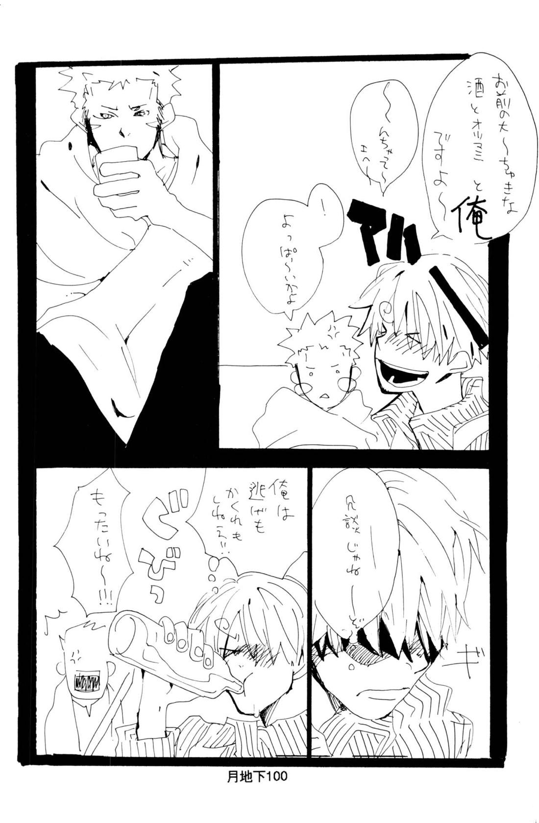 バラの花 27ページ