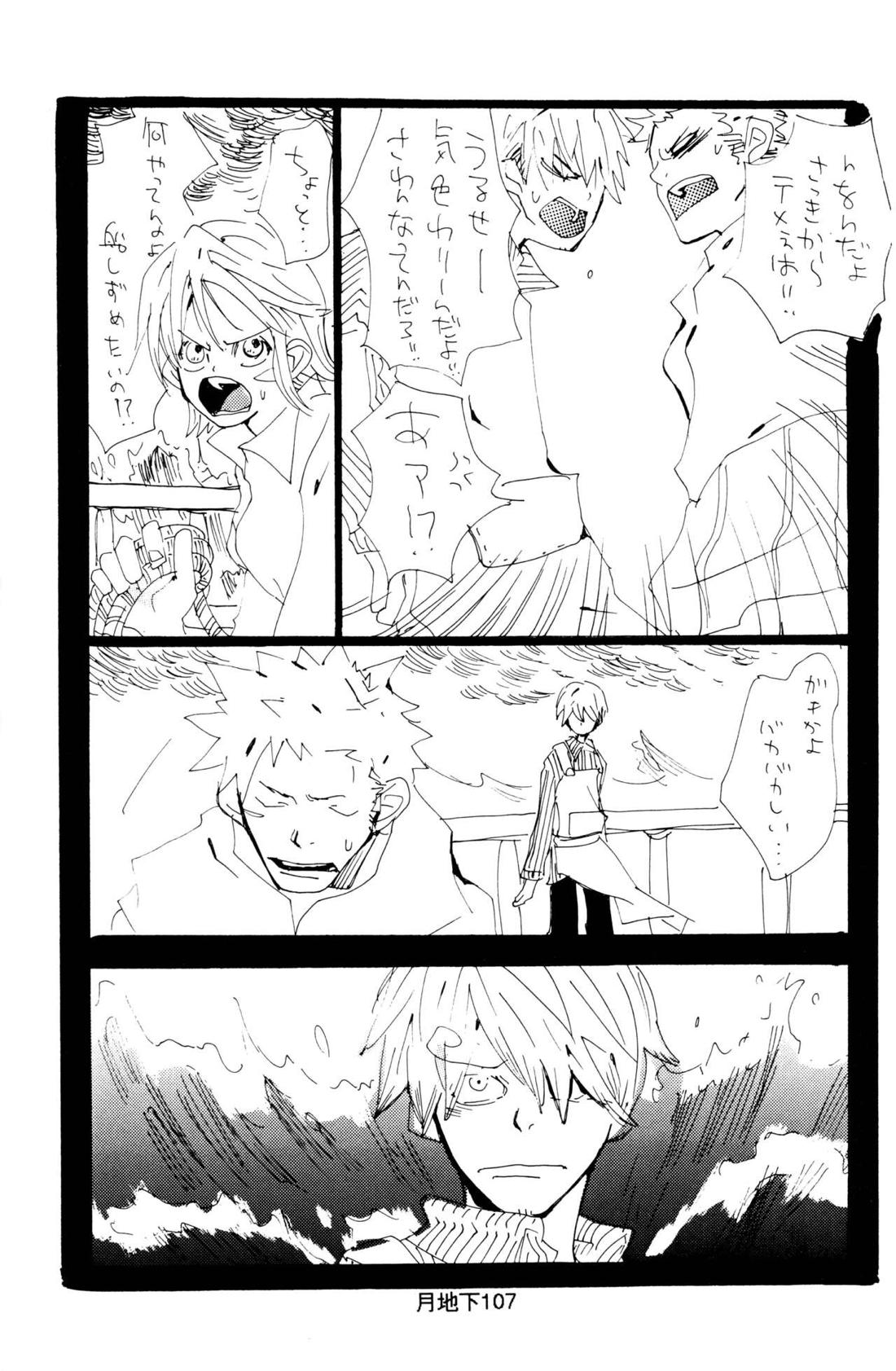 バラの花 33ページ