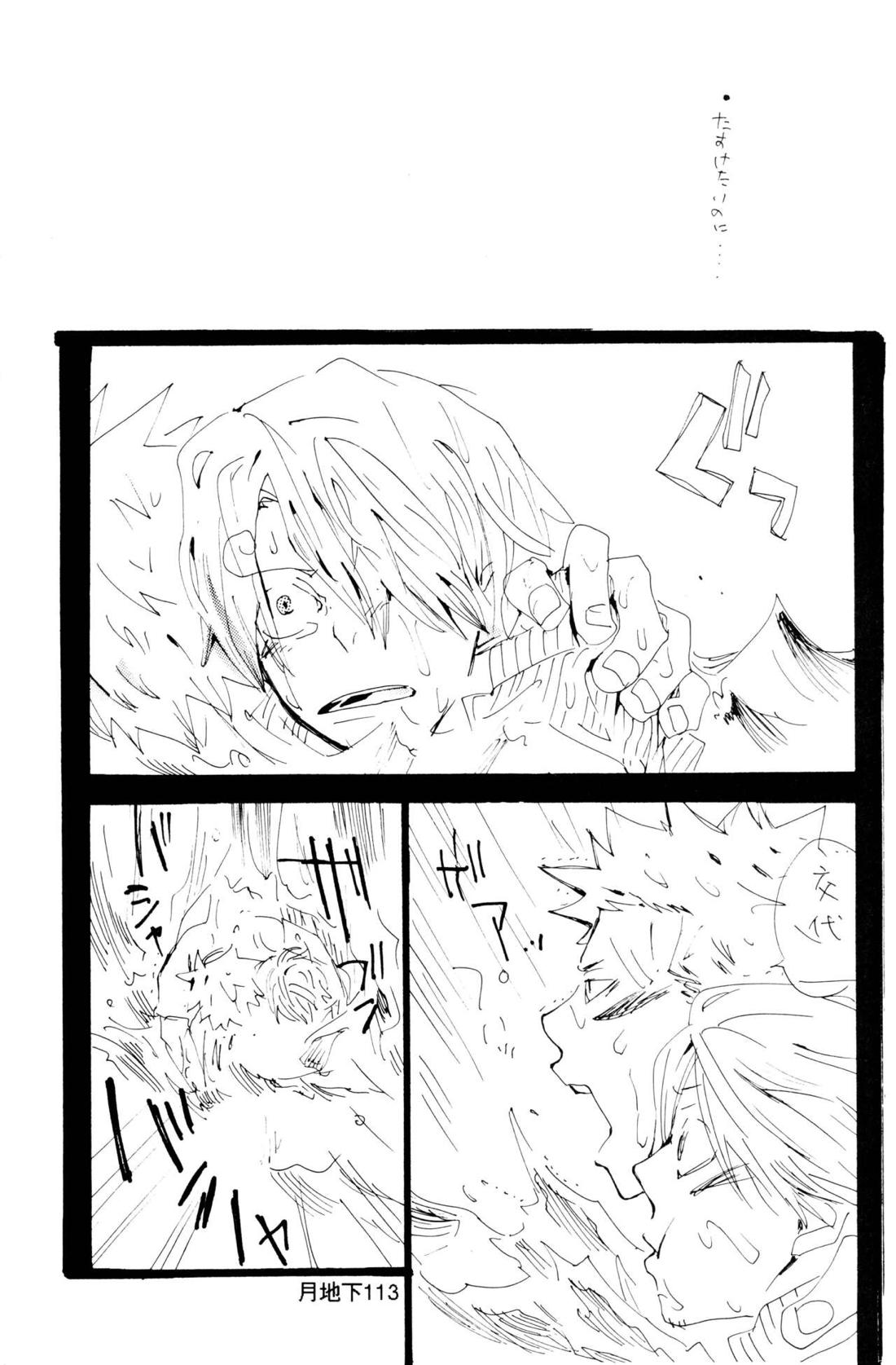 バラの花 39ページ