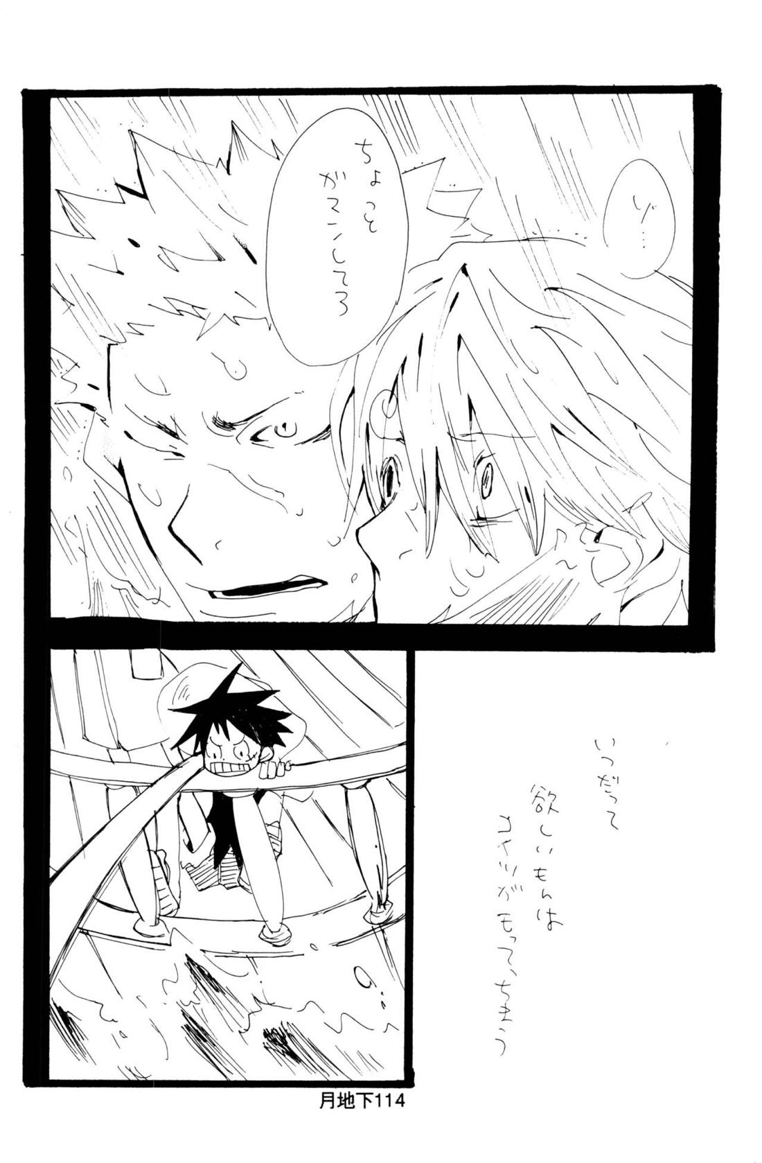 バラの花 40ページ
